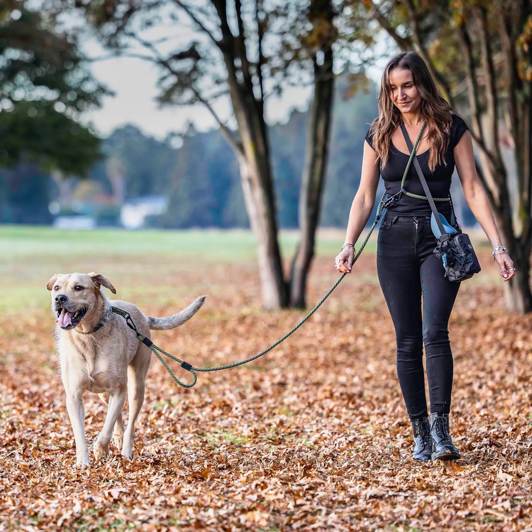 Remutaka Trail Runner Handsfree Dog Leash