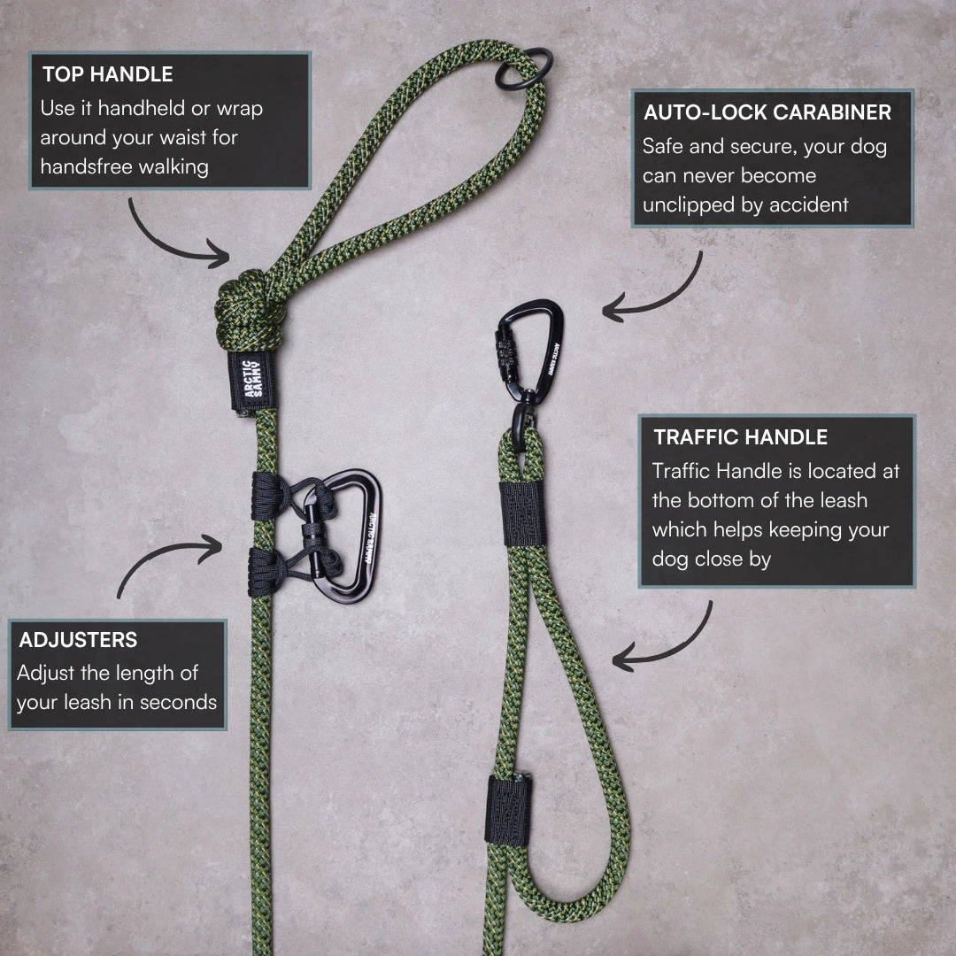 Remutaka Trail Runner Handsfree Dog Leash