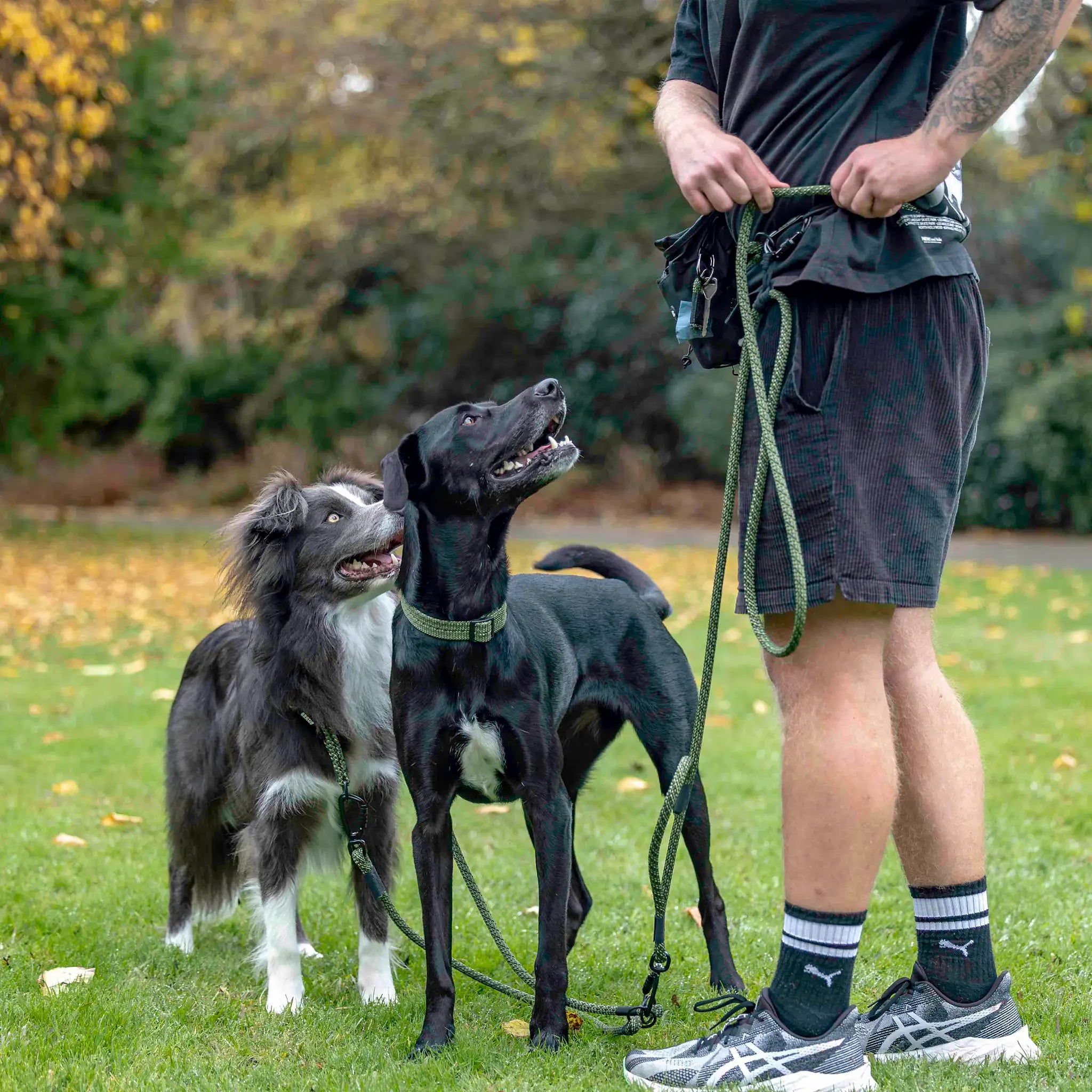 Remutaka Handsfree Double Dog Leash