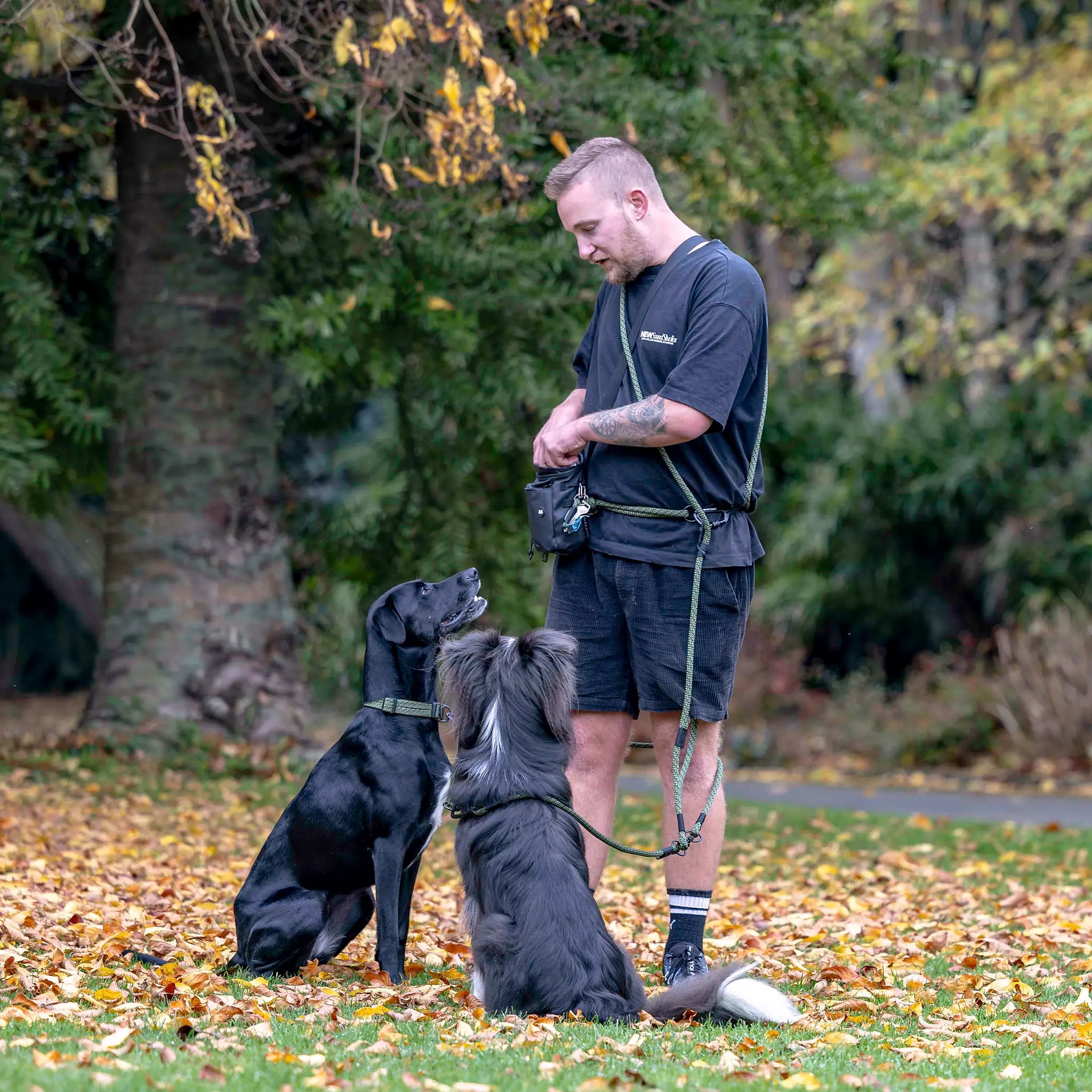Remutaka Handsfree Double Dog Leash