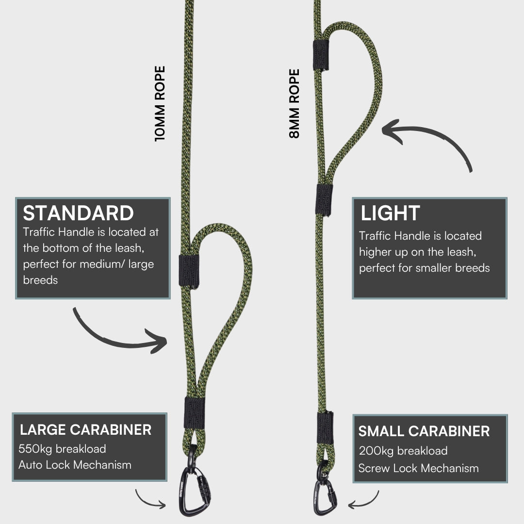 Remutaka Handsfree Double Dog Leash