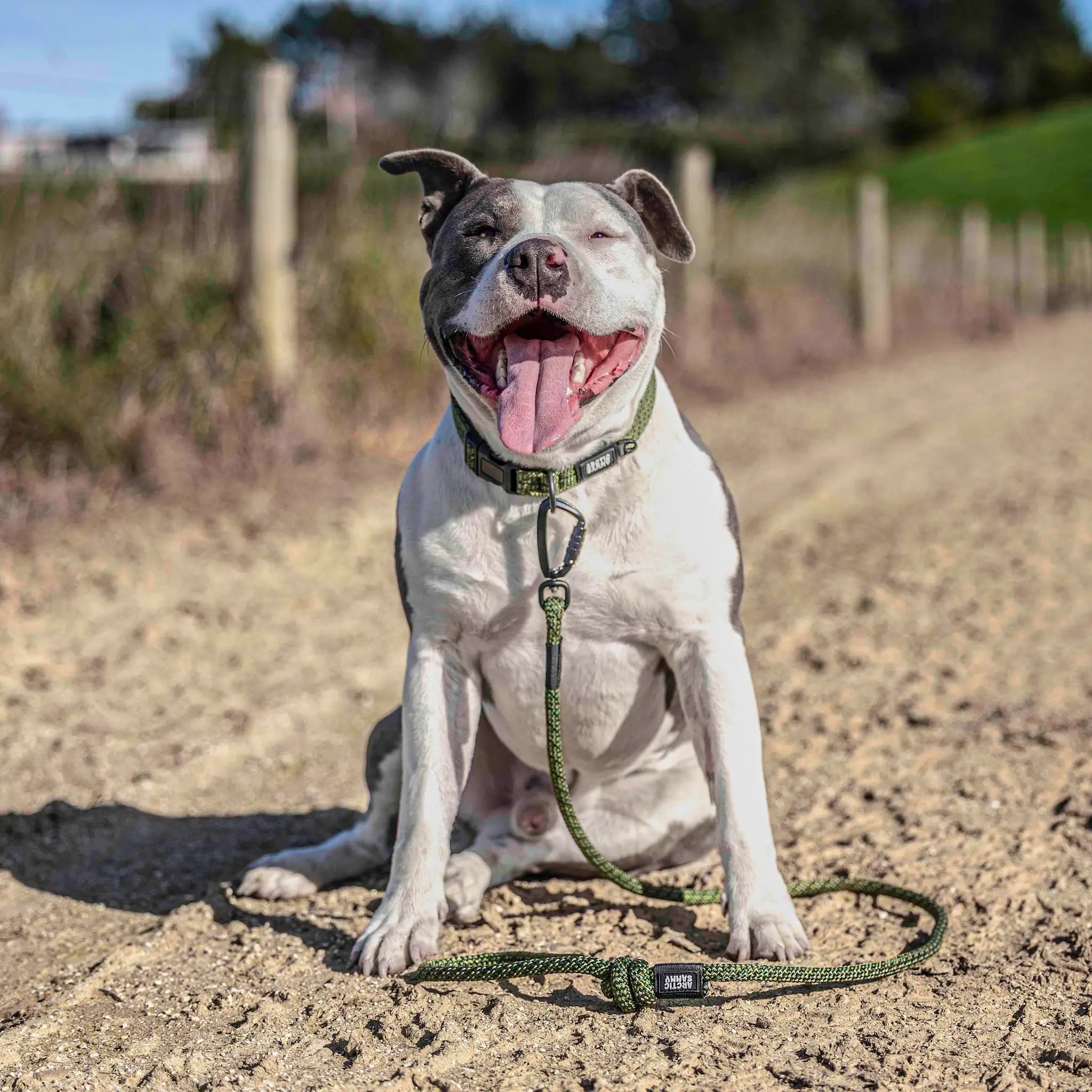 Remutaka Rope Dog Leash