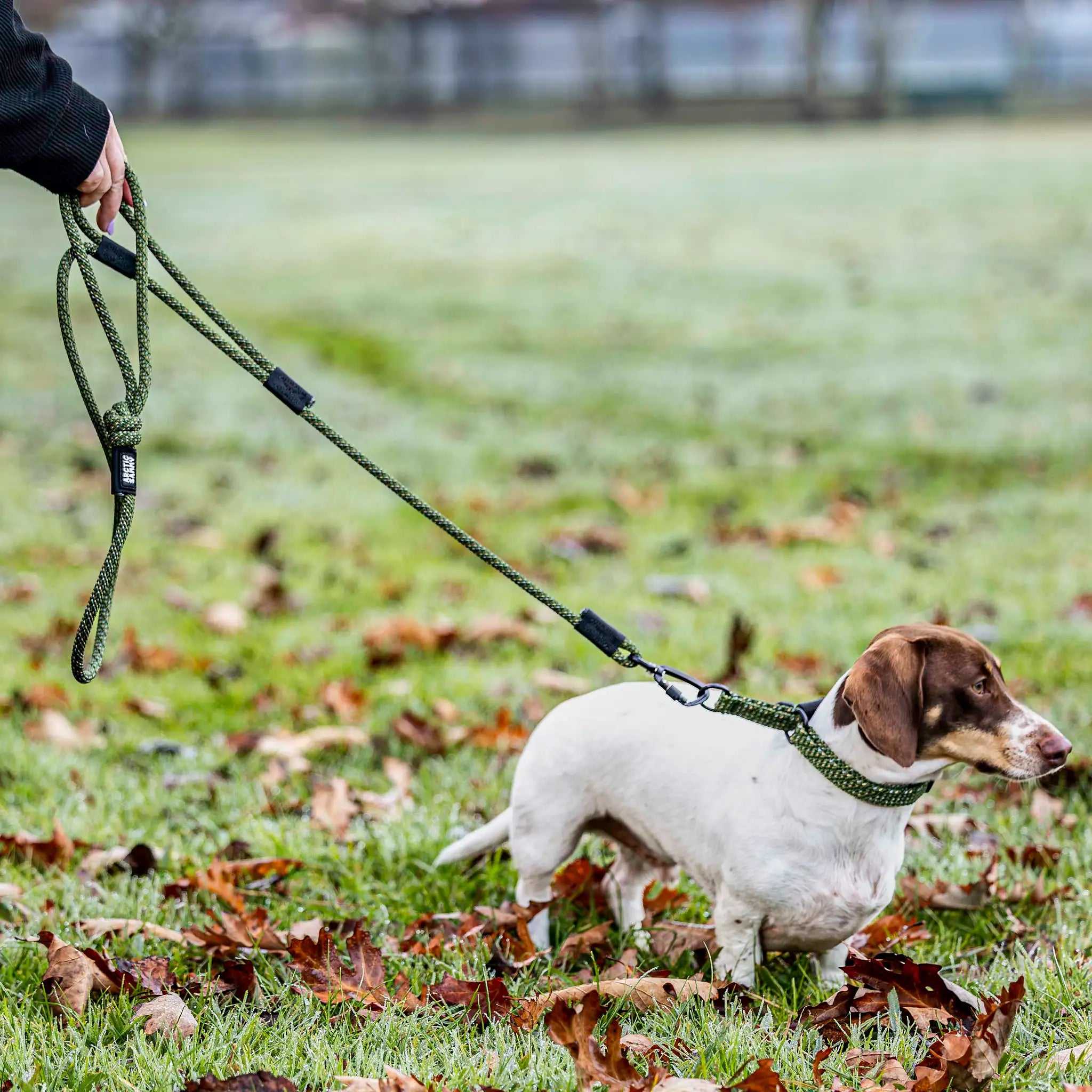 Remutaka Rope Dog Leash with Traffic Handle