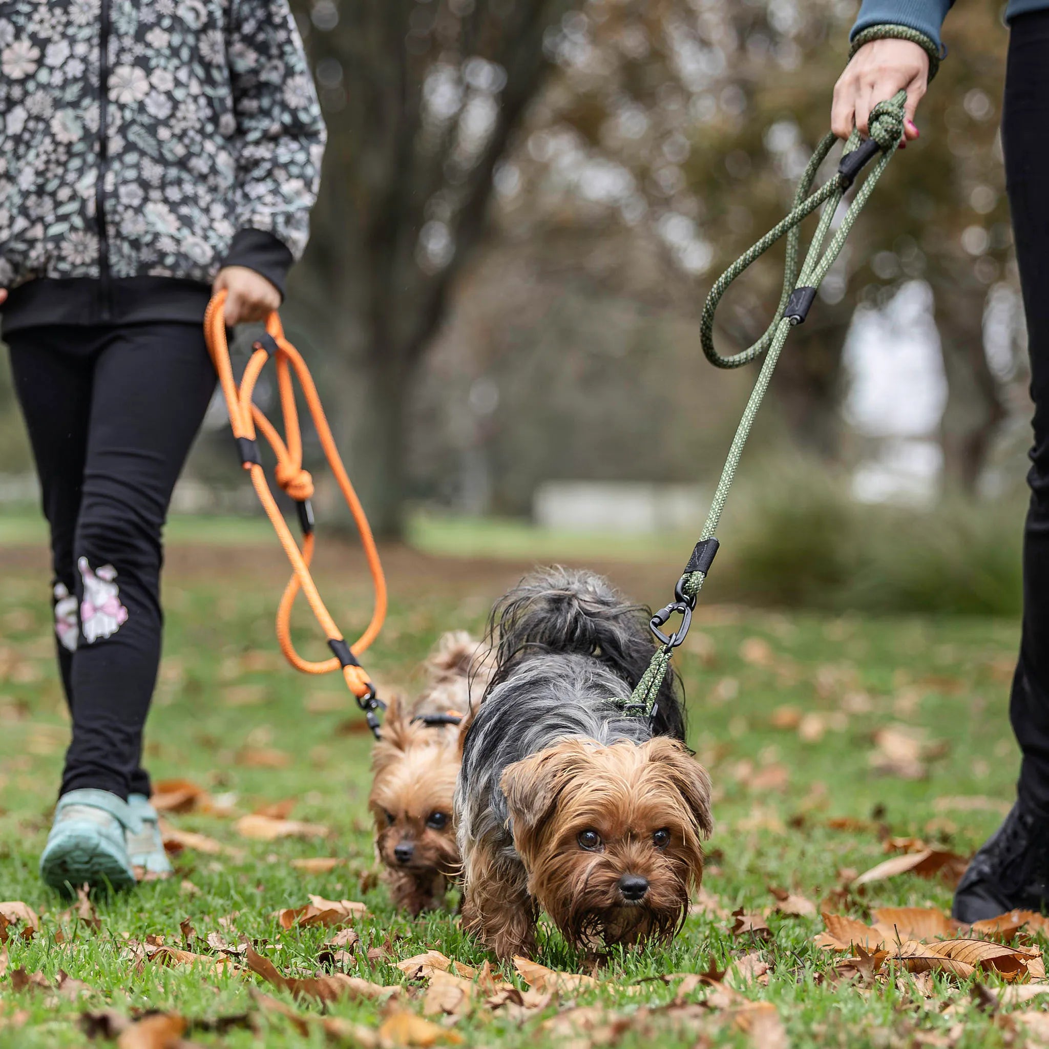 Remutaka Rope Dog Leash with Traffic Handle