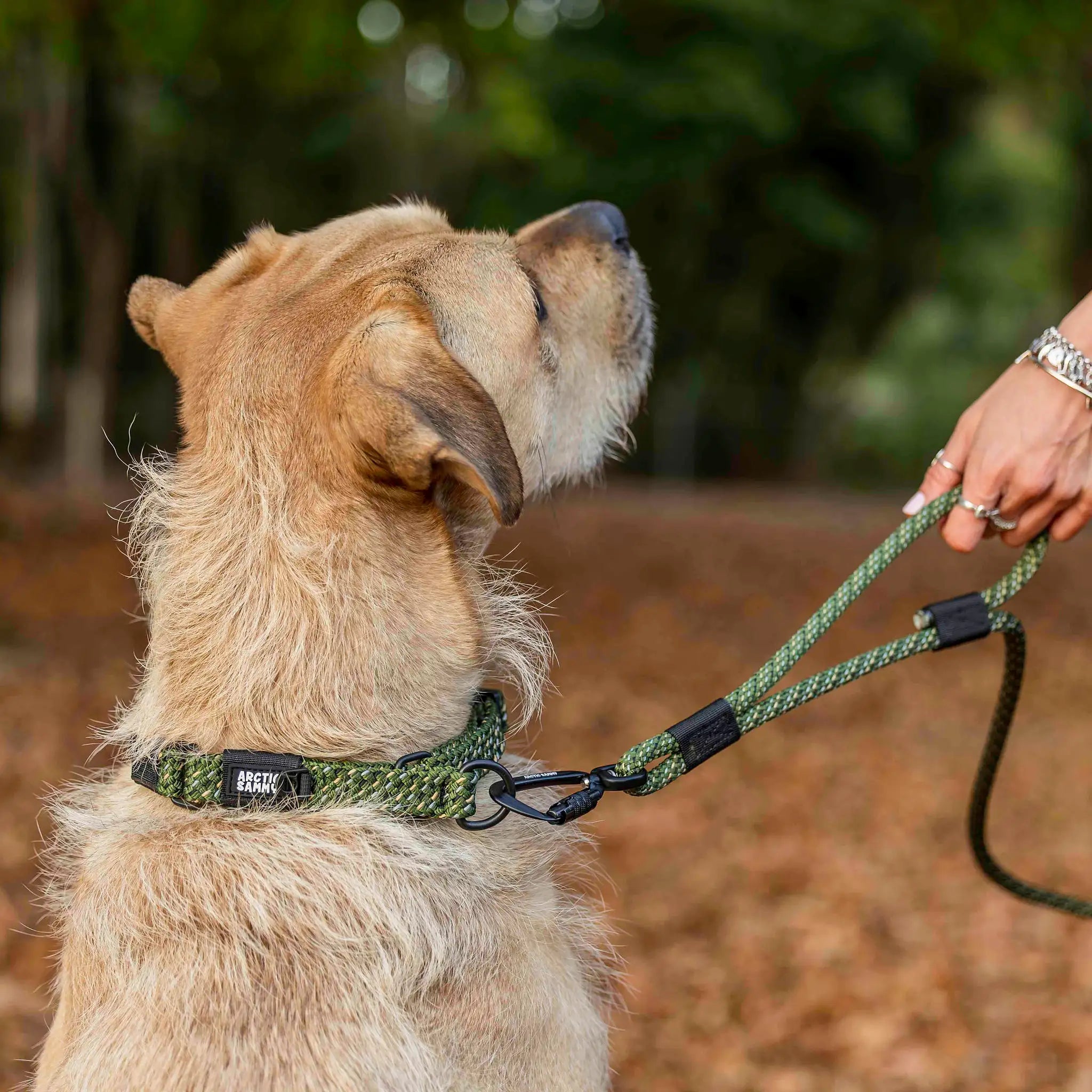Remutaka Rope Dog Leash with Traffic Handle