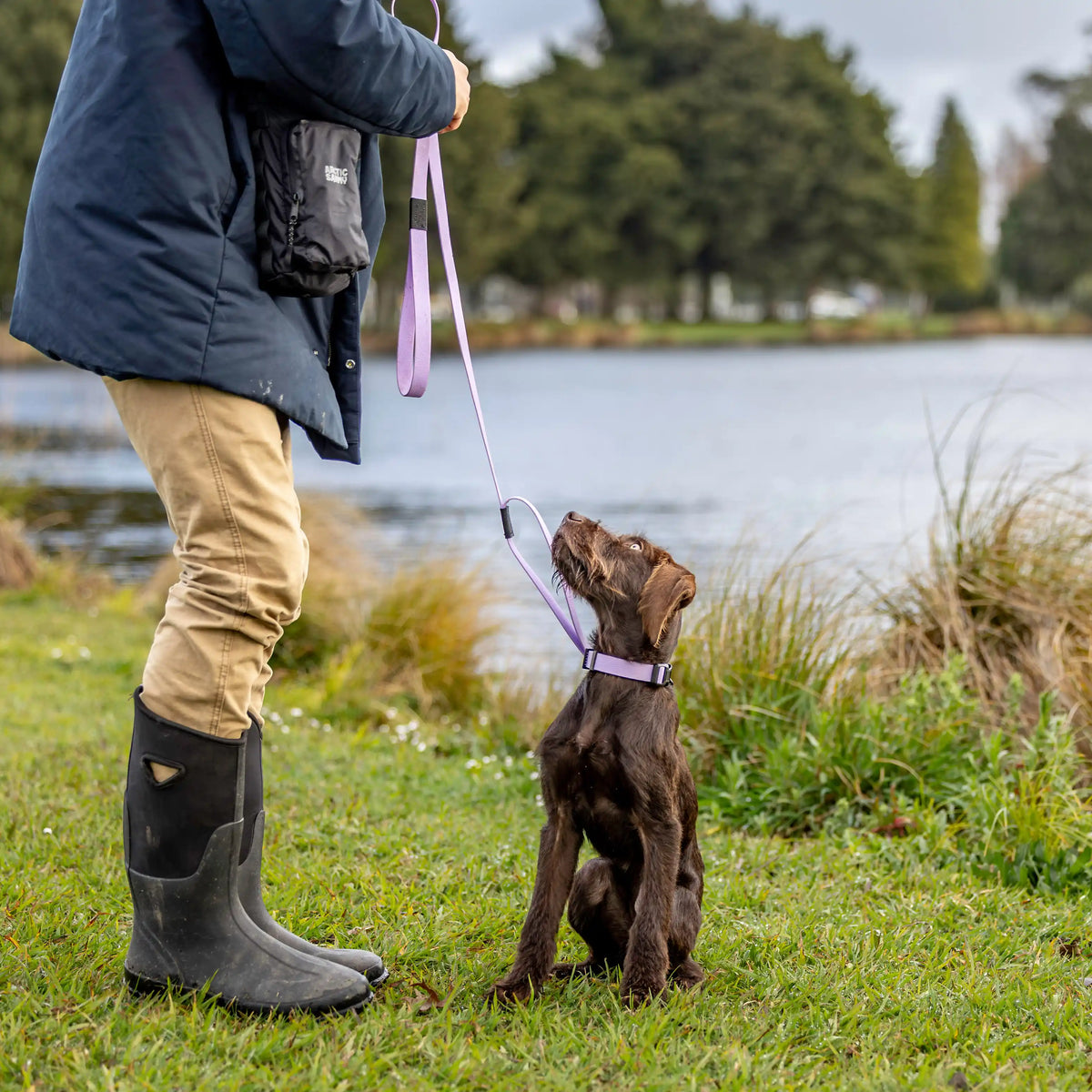 Lavender Terraflow Traffic Handle Leash 2.0