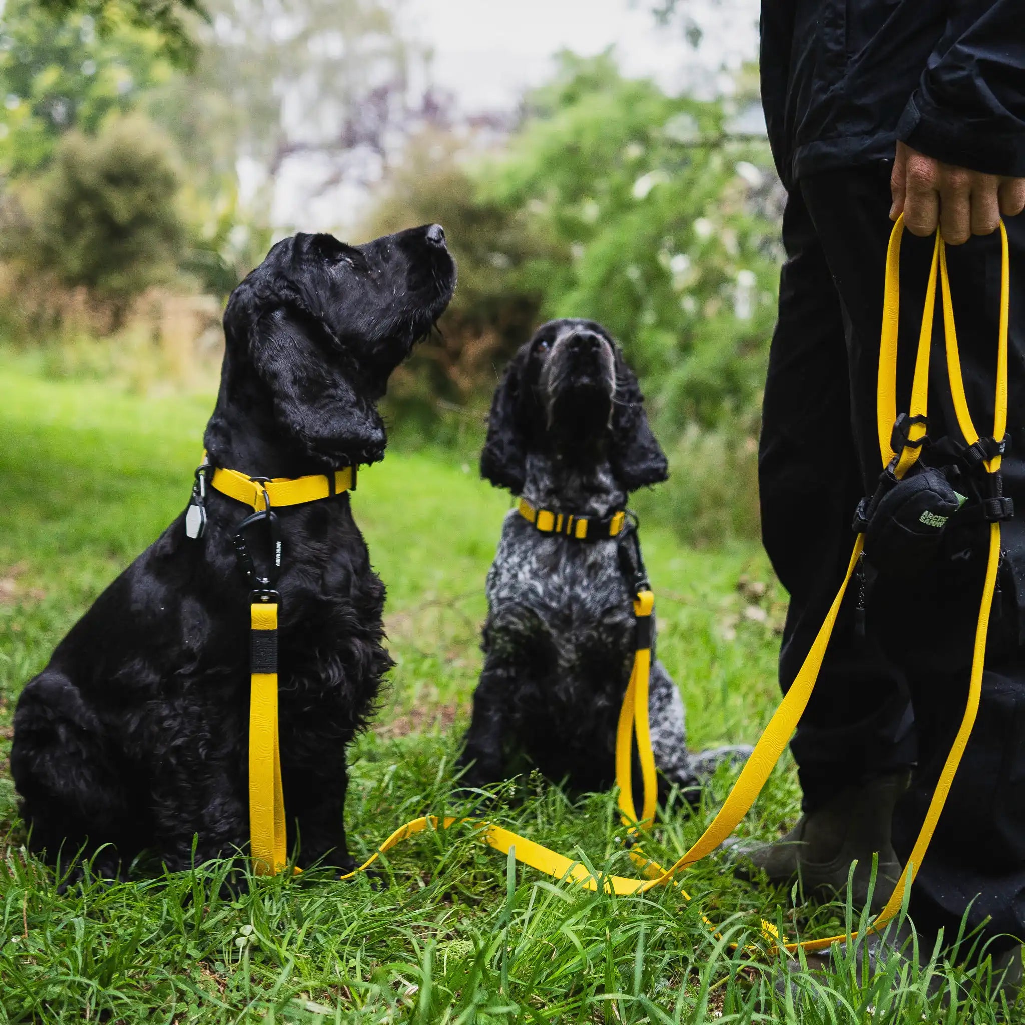 Mustard Yellow Terraflow Traffic Handle Leash