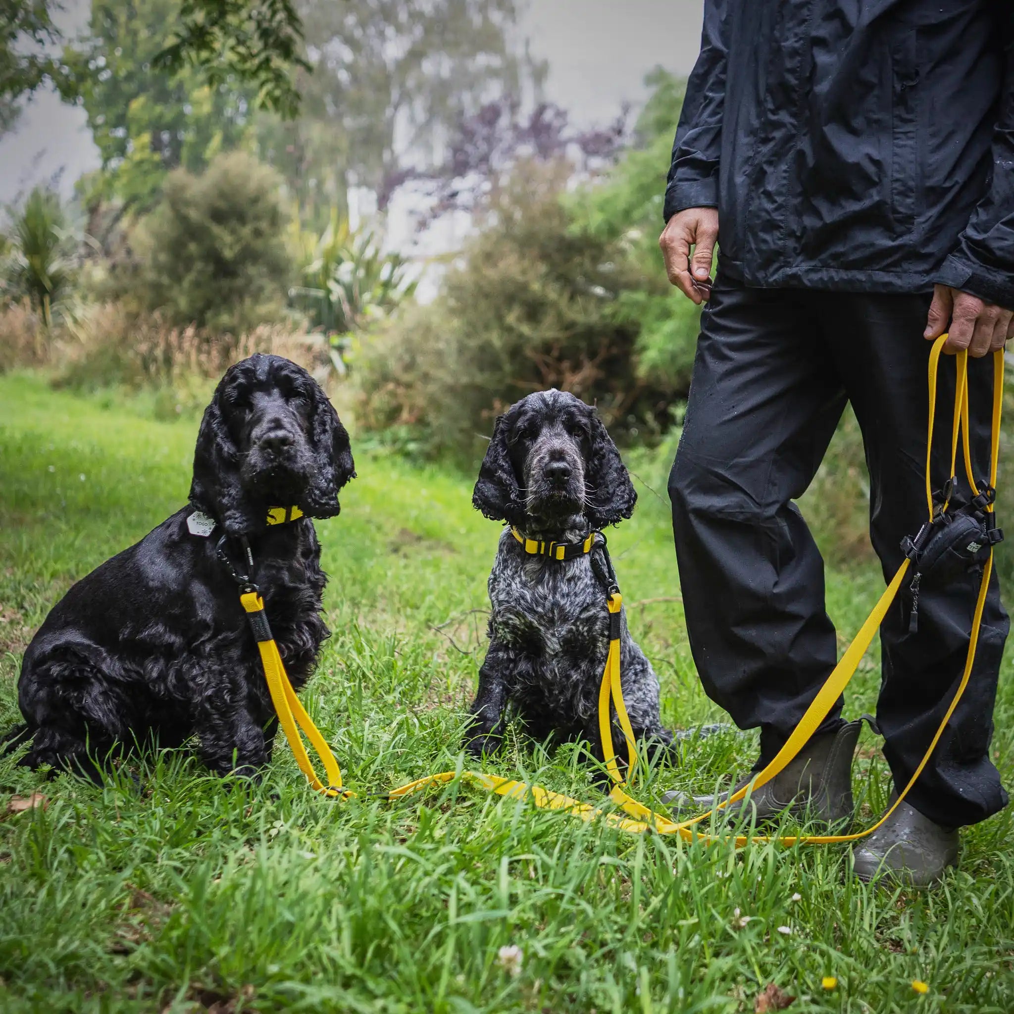 Mustard Yellow Terraflow Traffic Handle Leash