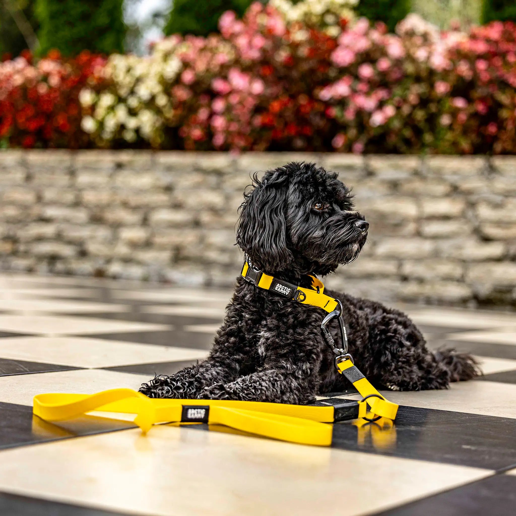 Mustard Yellow Terraflow Traffic Handle Leash