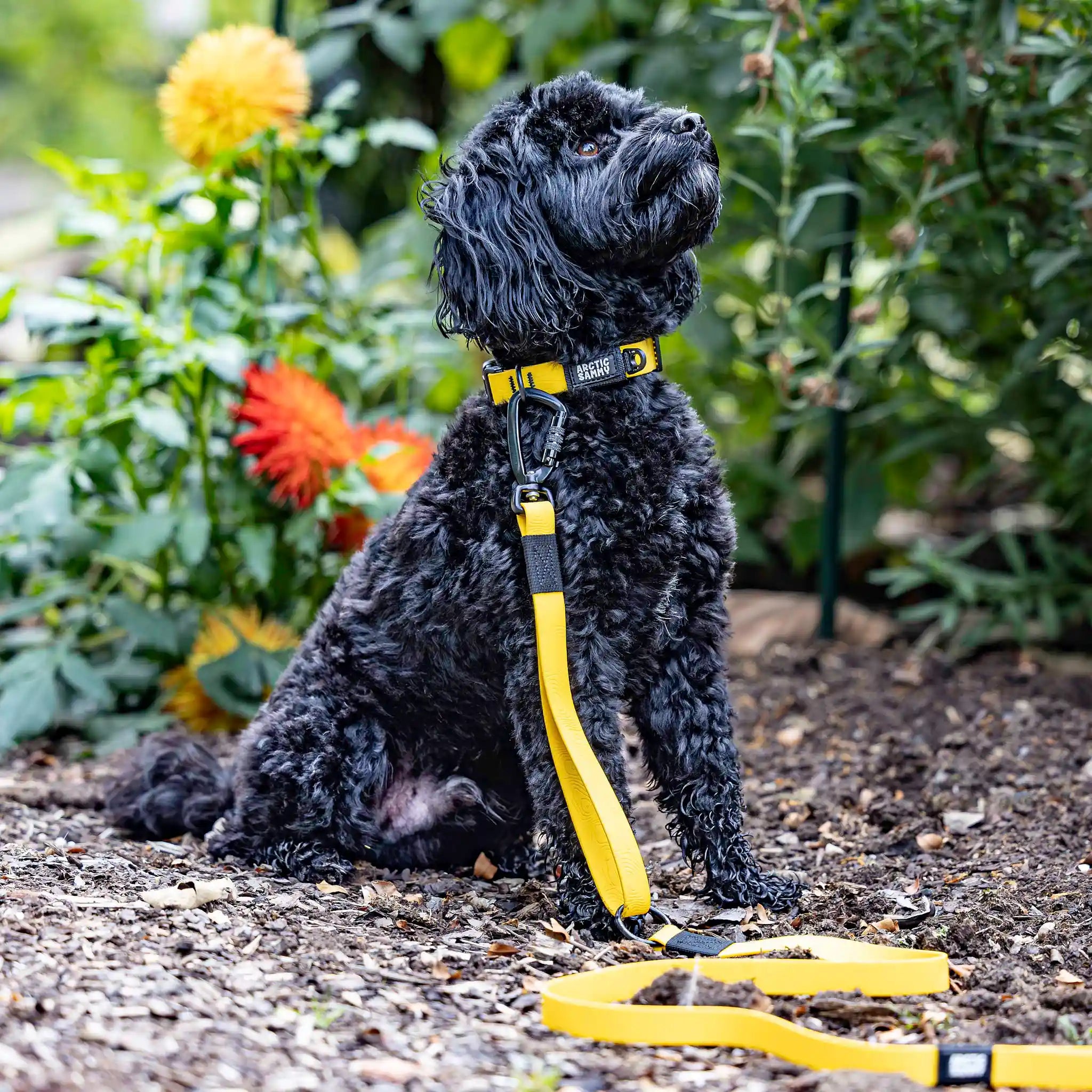 Mustard Yellow Terraflow Traffic Handle Leash