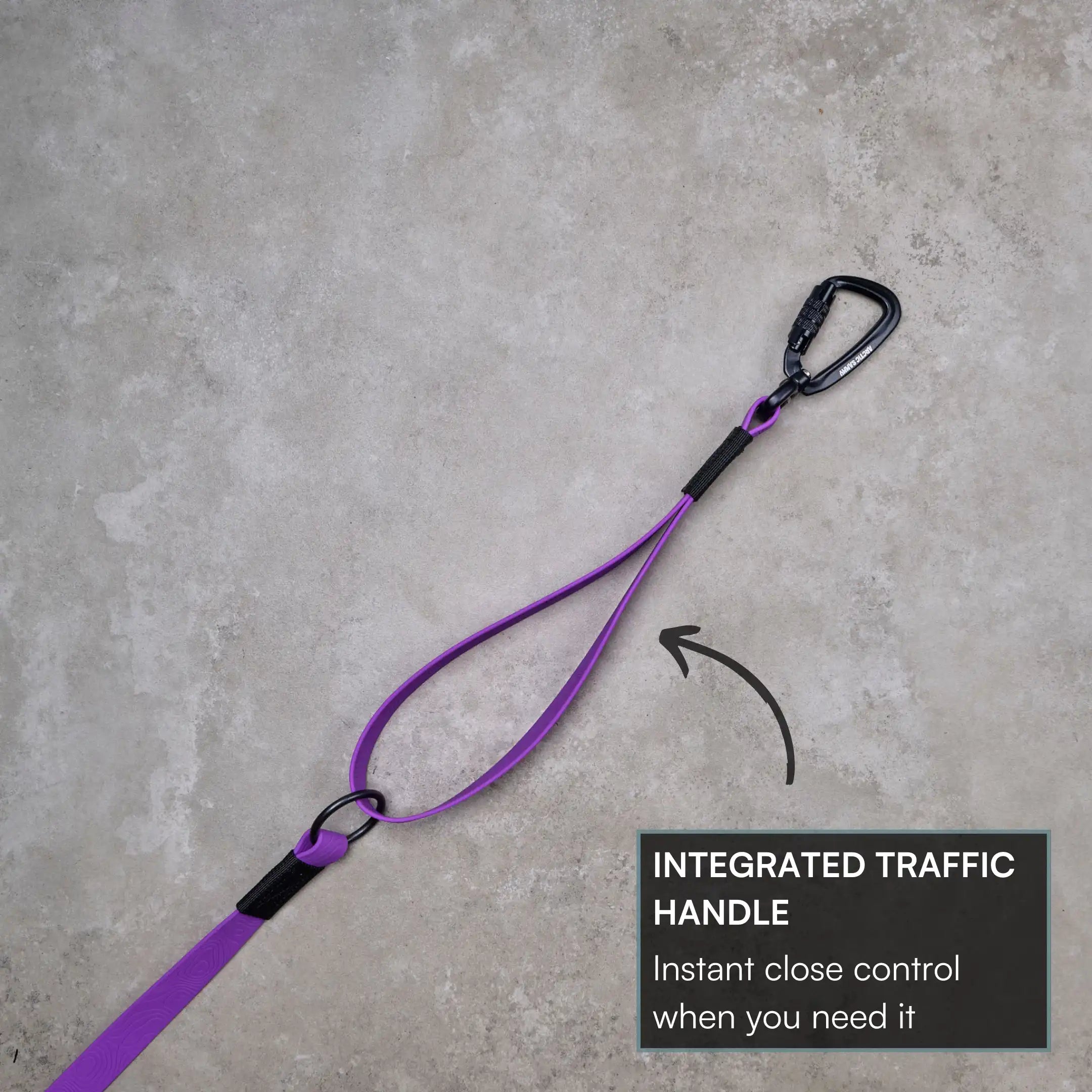 Purple Terraflow Traffic Handle Leash