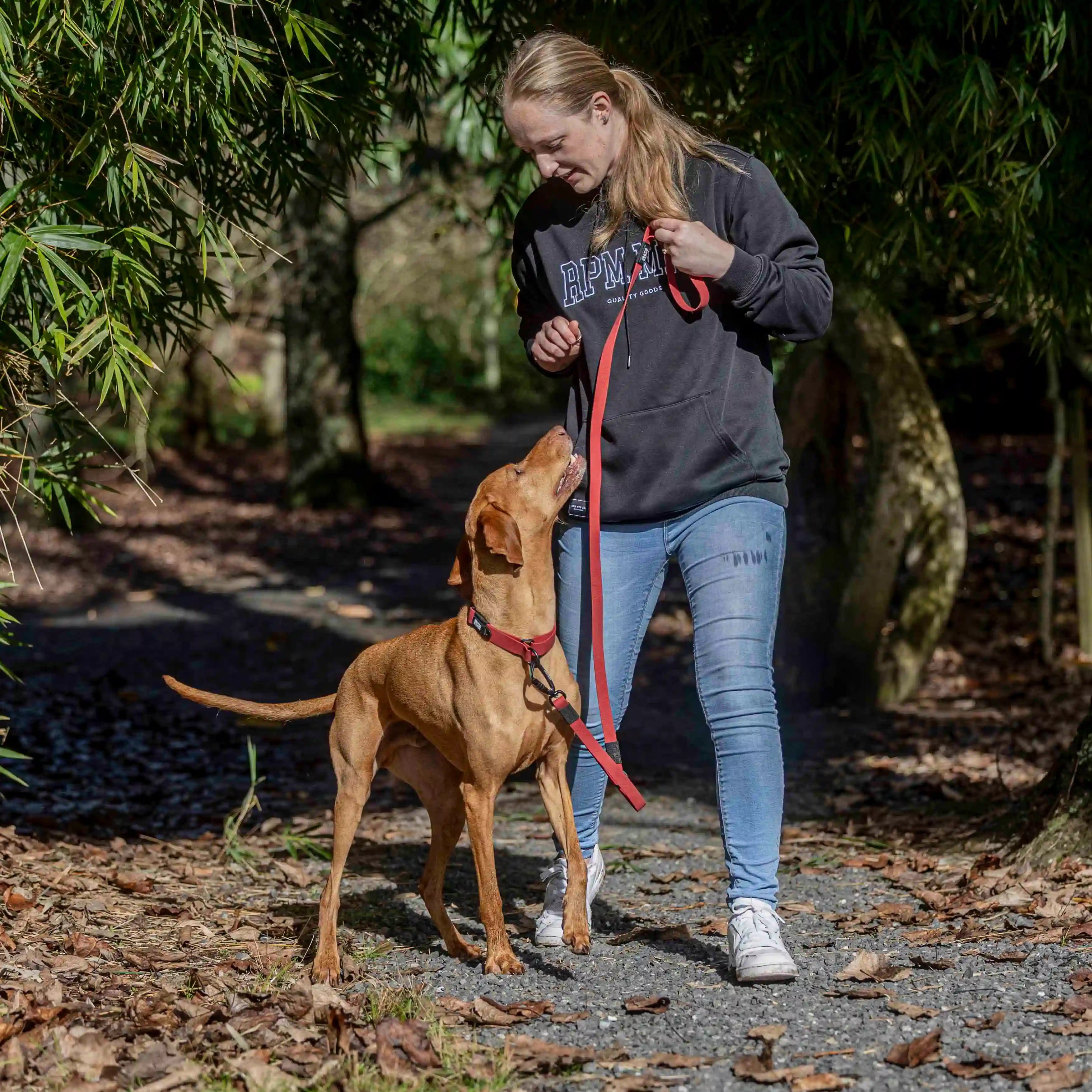 Ruby Red Terraflow Traffic Handle Leash