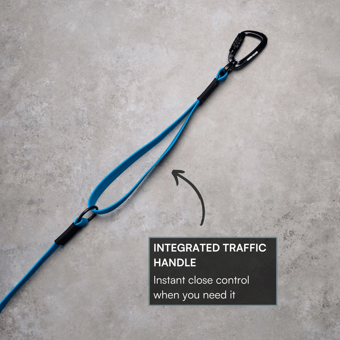 Teal Terraflow Traffic Handle Leash
