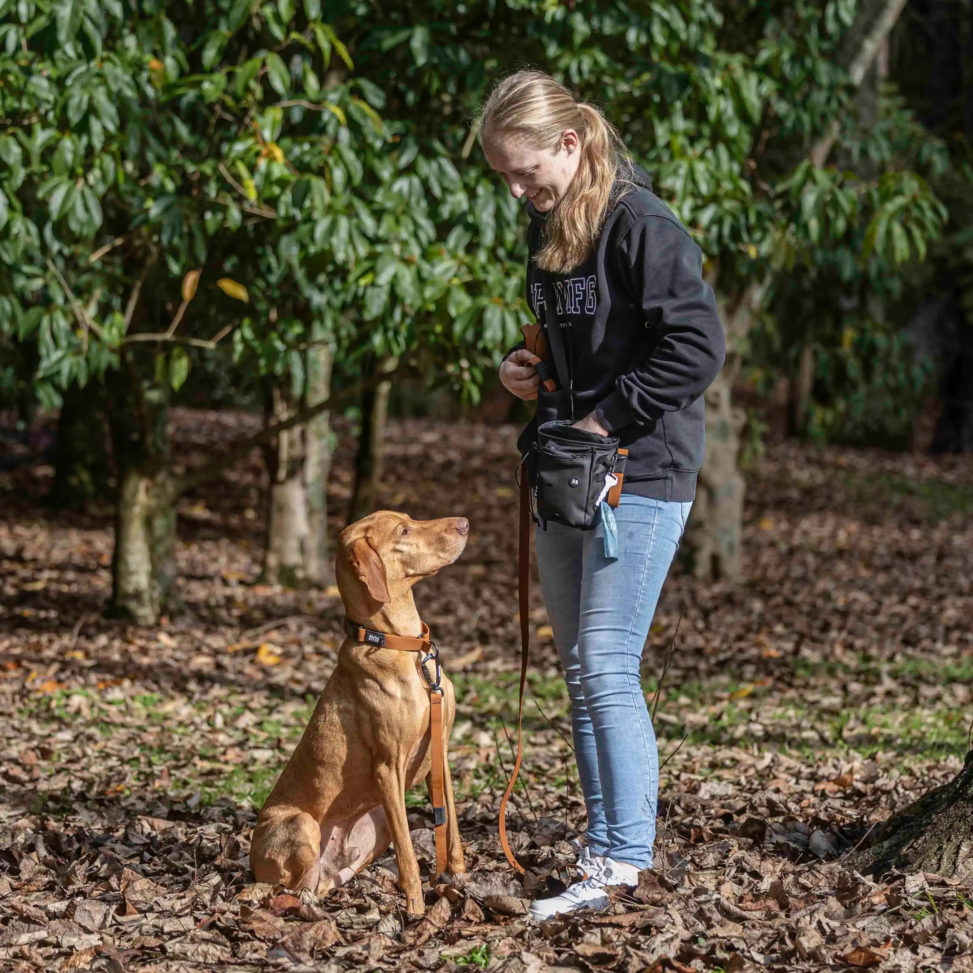 Toffee Brown Terraflow Traffic Handle Leash