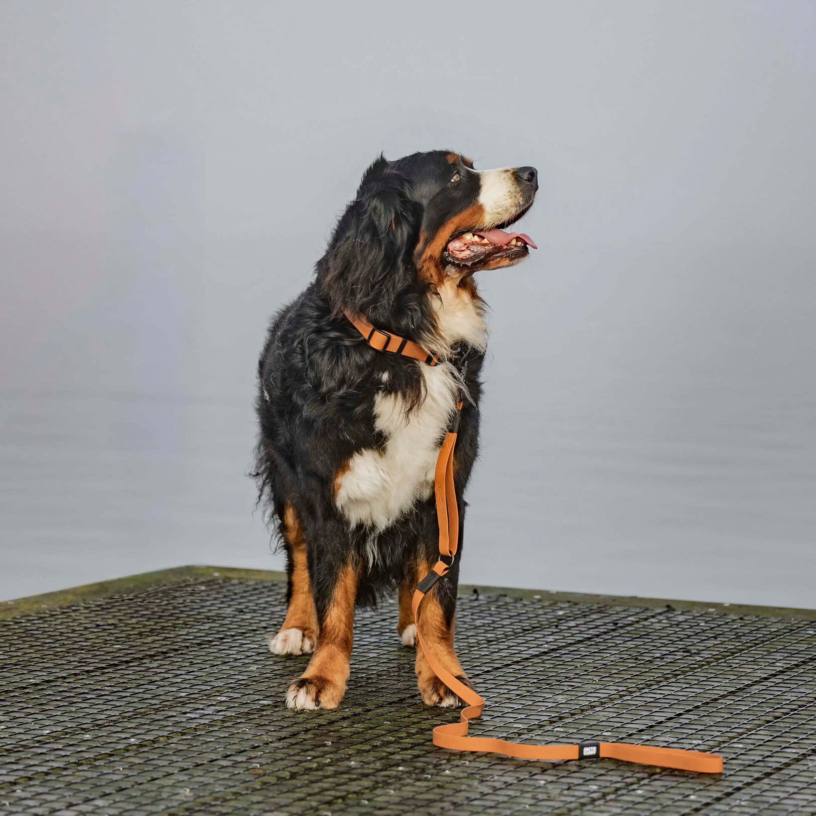 Toffee Brown Terraflow Traffic Handle Leash
