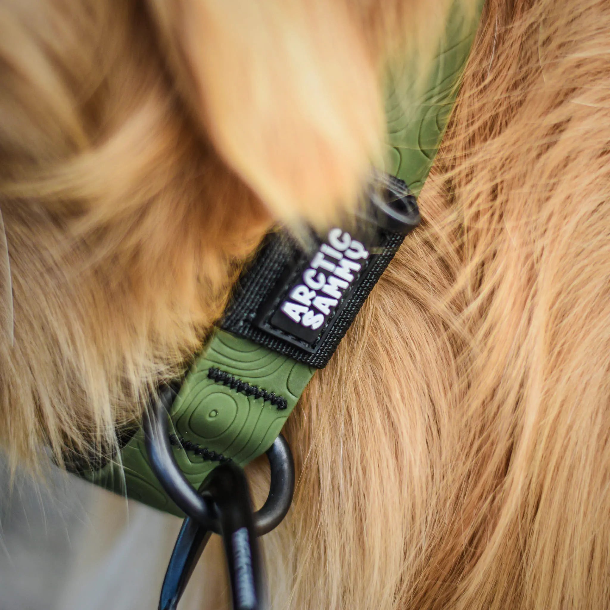 Olive Terraflow Waterproof Dog Collar