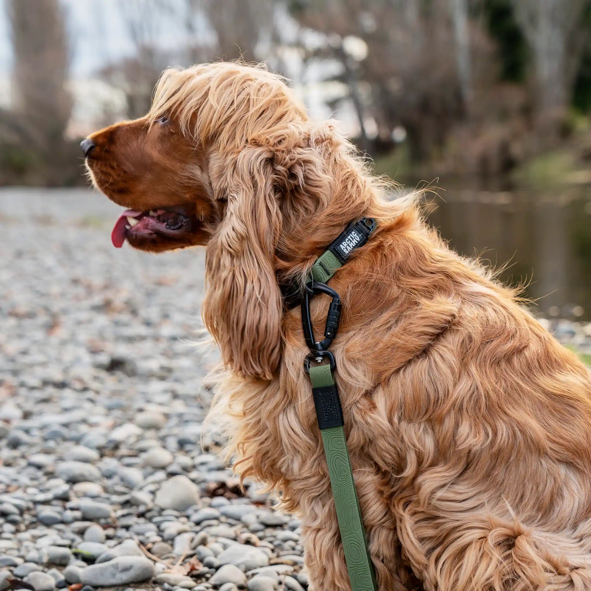 Olive Terraflow Waterproof Dog Collar