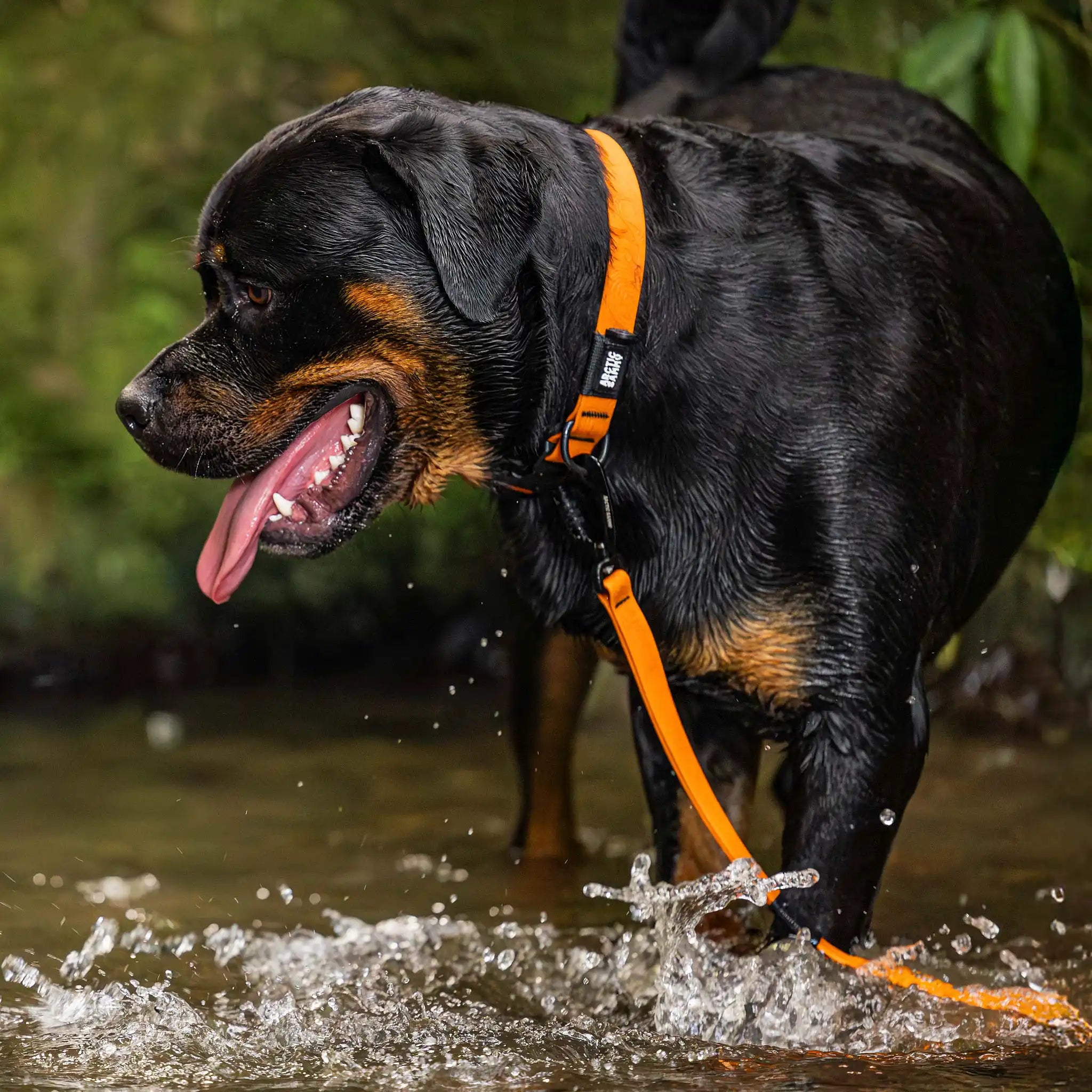 Orange Terraflow Waterproof Dog Collar