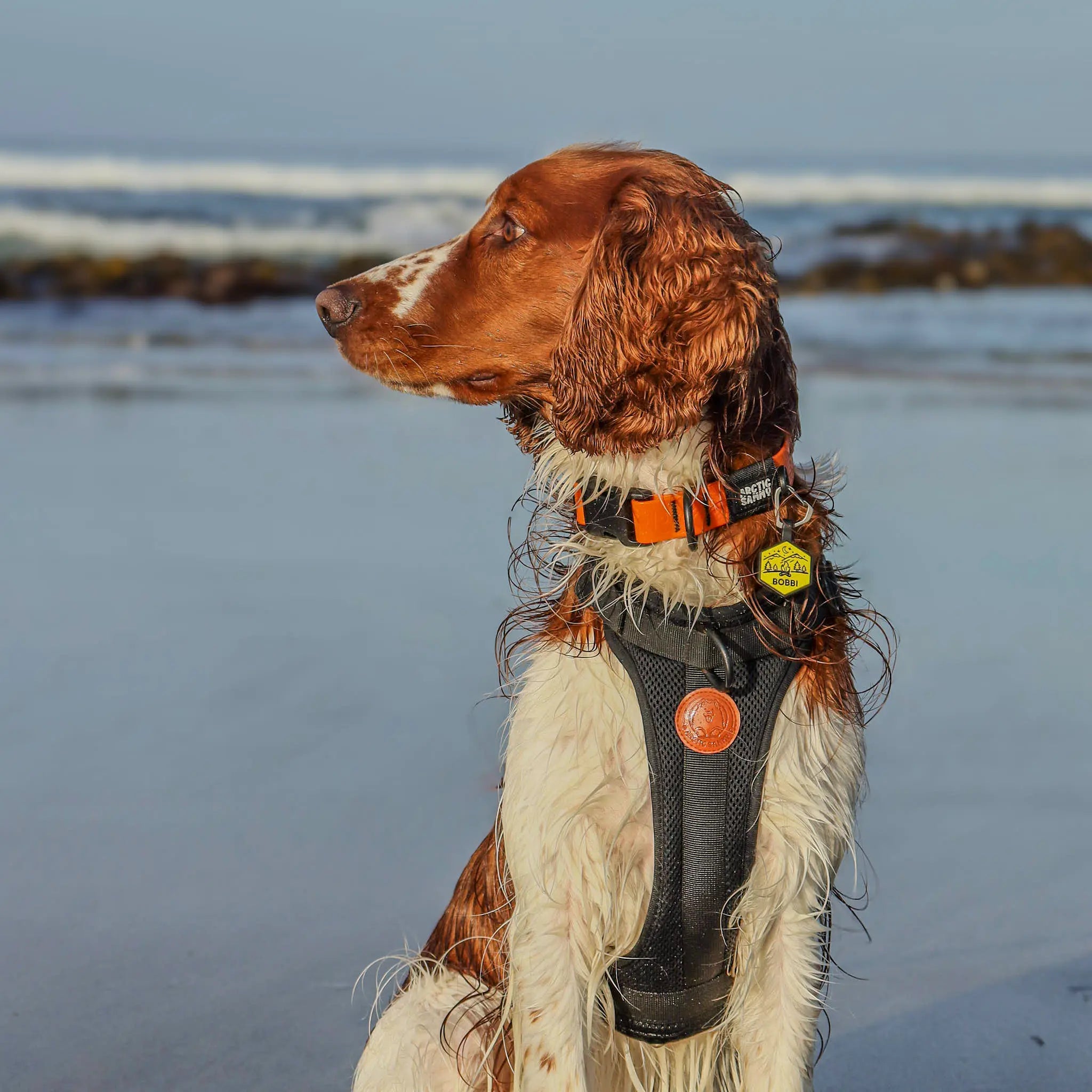 Orange Terraflow Waterproof Dog Collar