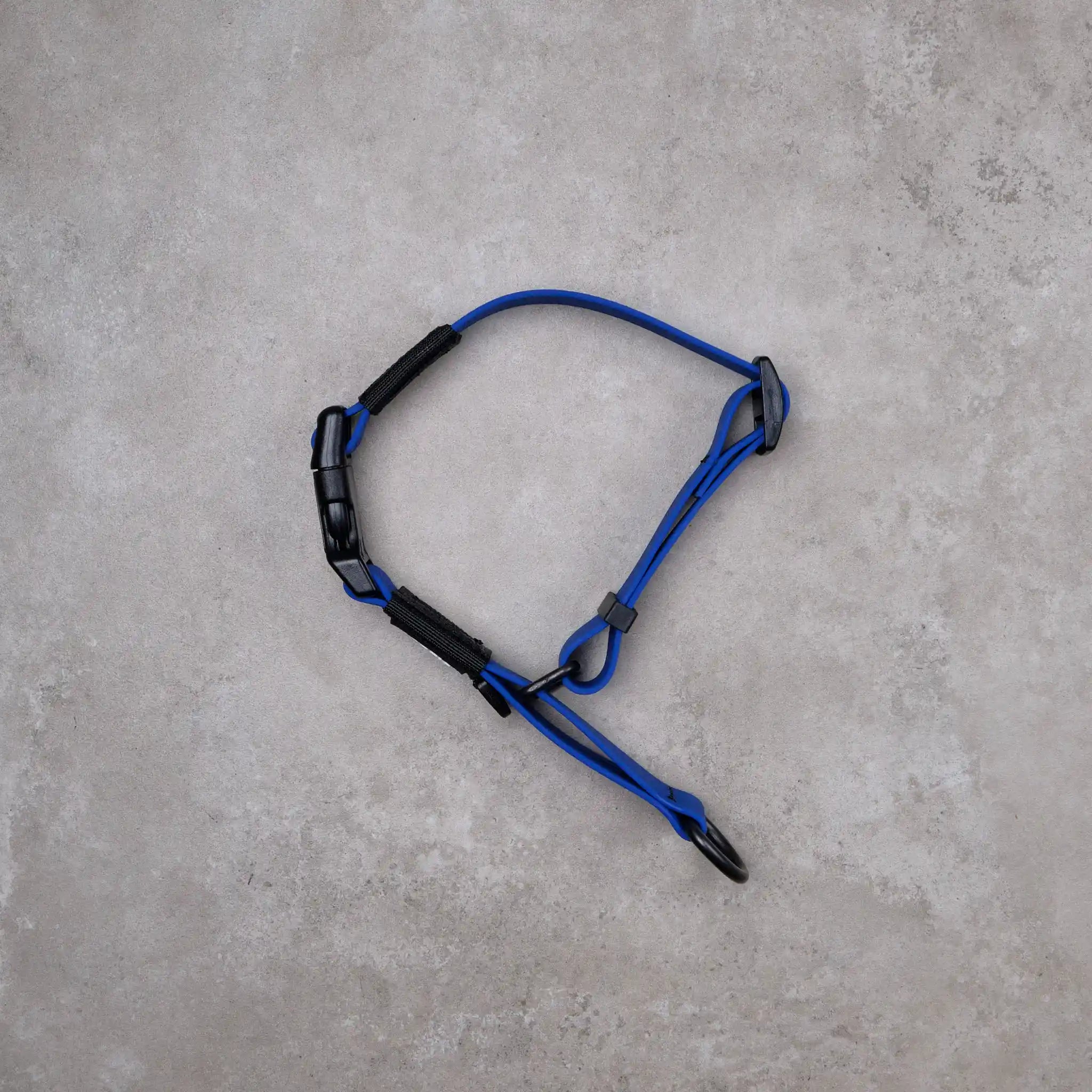 Navy Blue Terraflow Waterproof Martingale Dog Collar