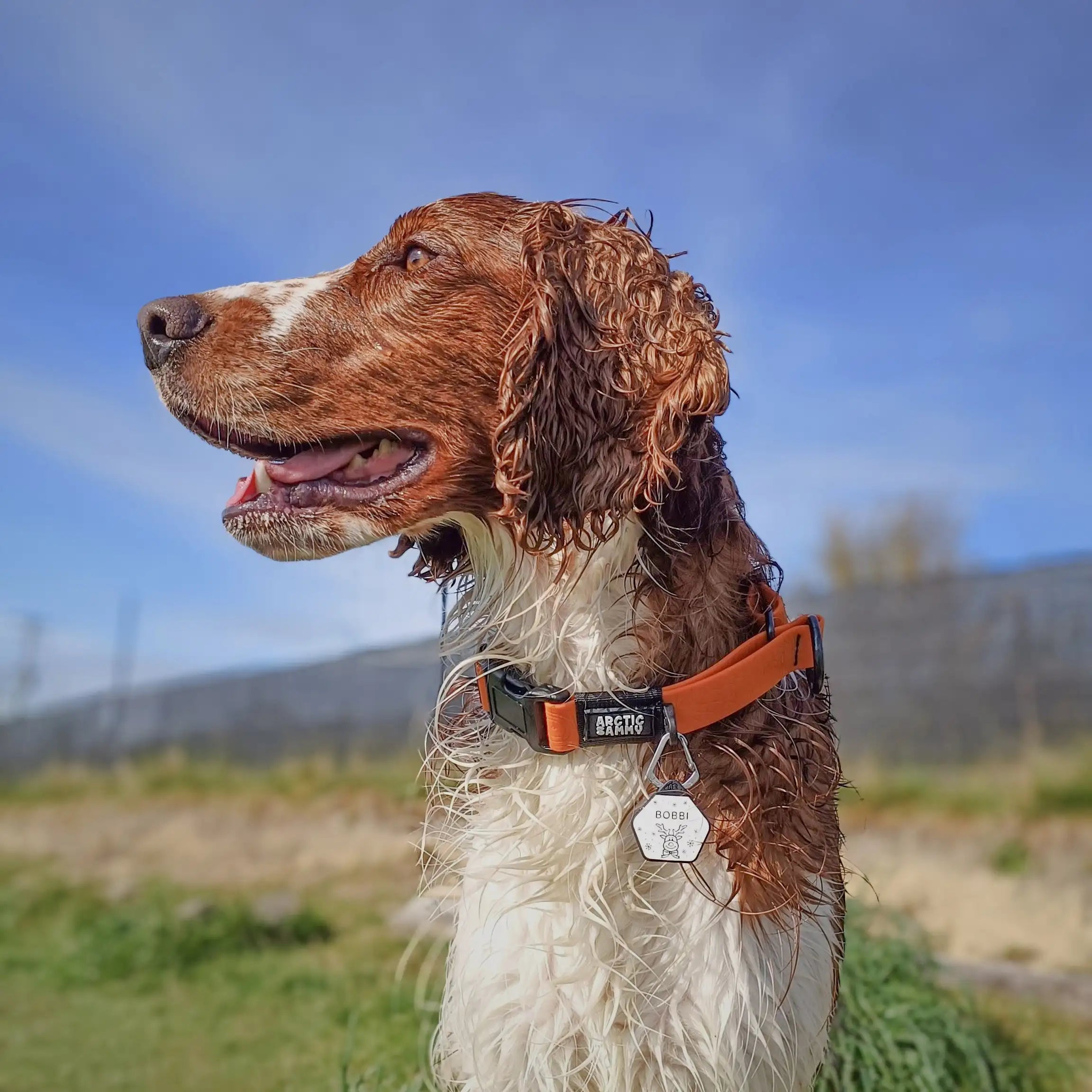 Orange Terraflow Waterproof Martingale Dog Collar