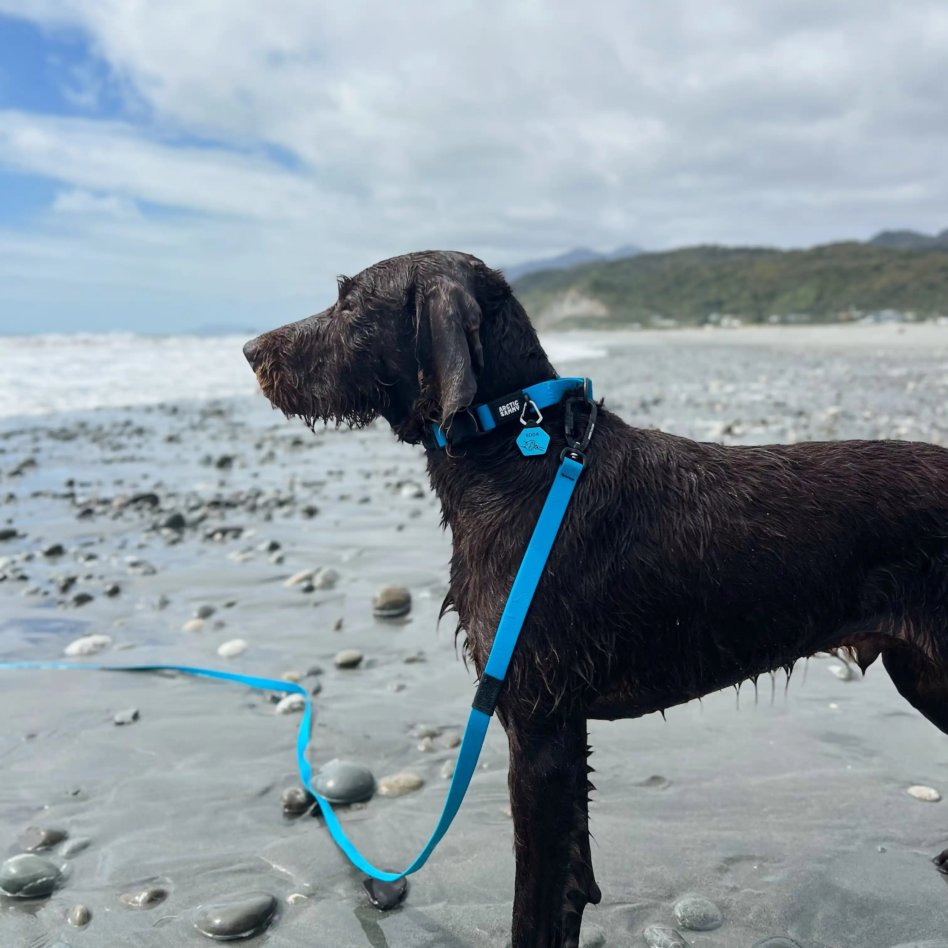 Teal Terraflow Waterproof Martingale Dog Collar