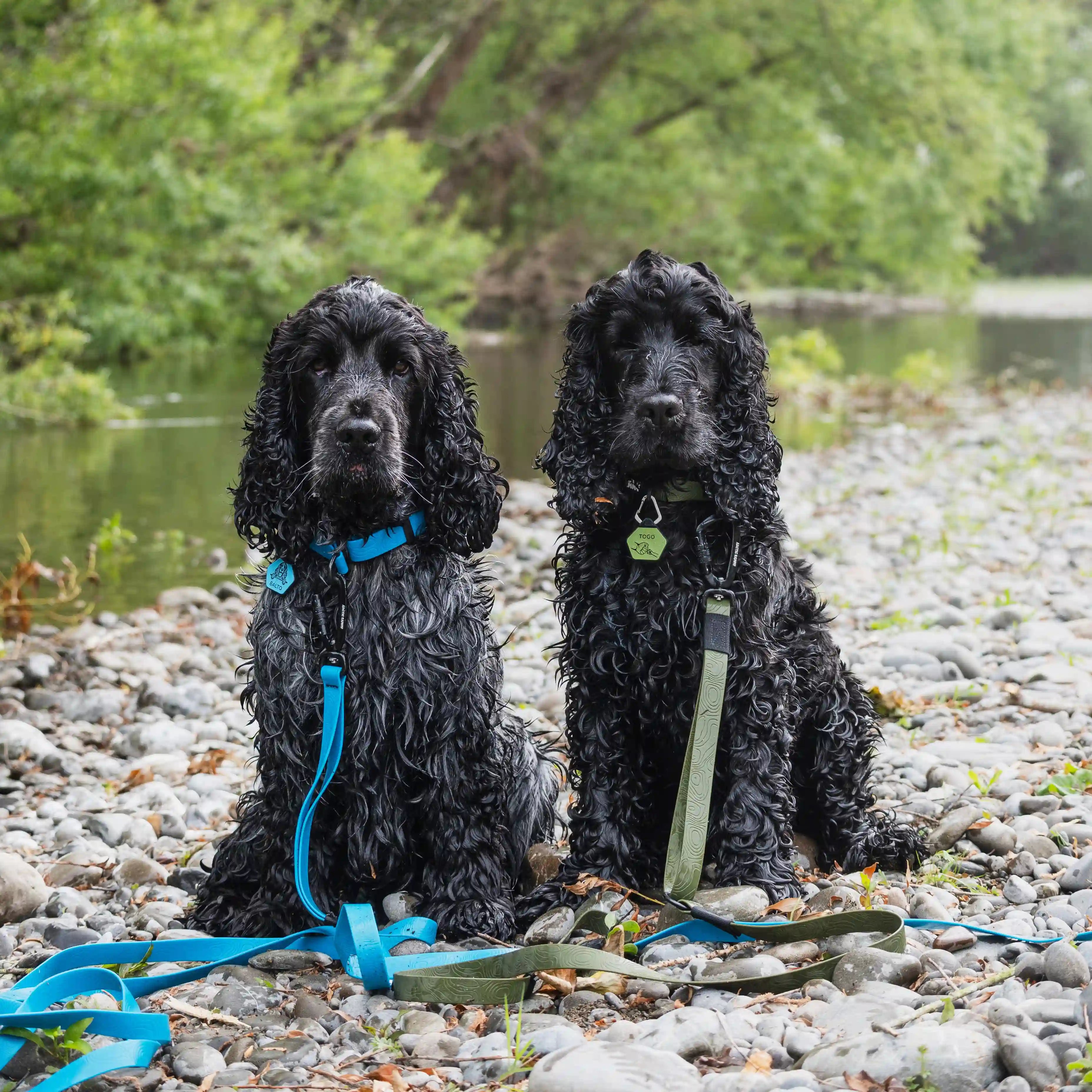 Olive Terraflow Waterproof Martingale Dog Collar