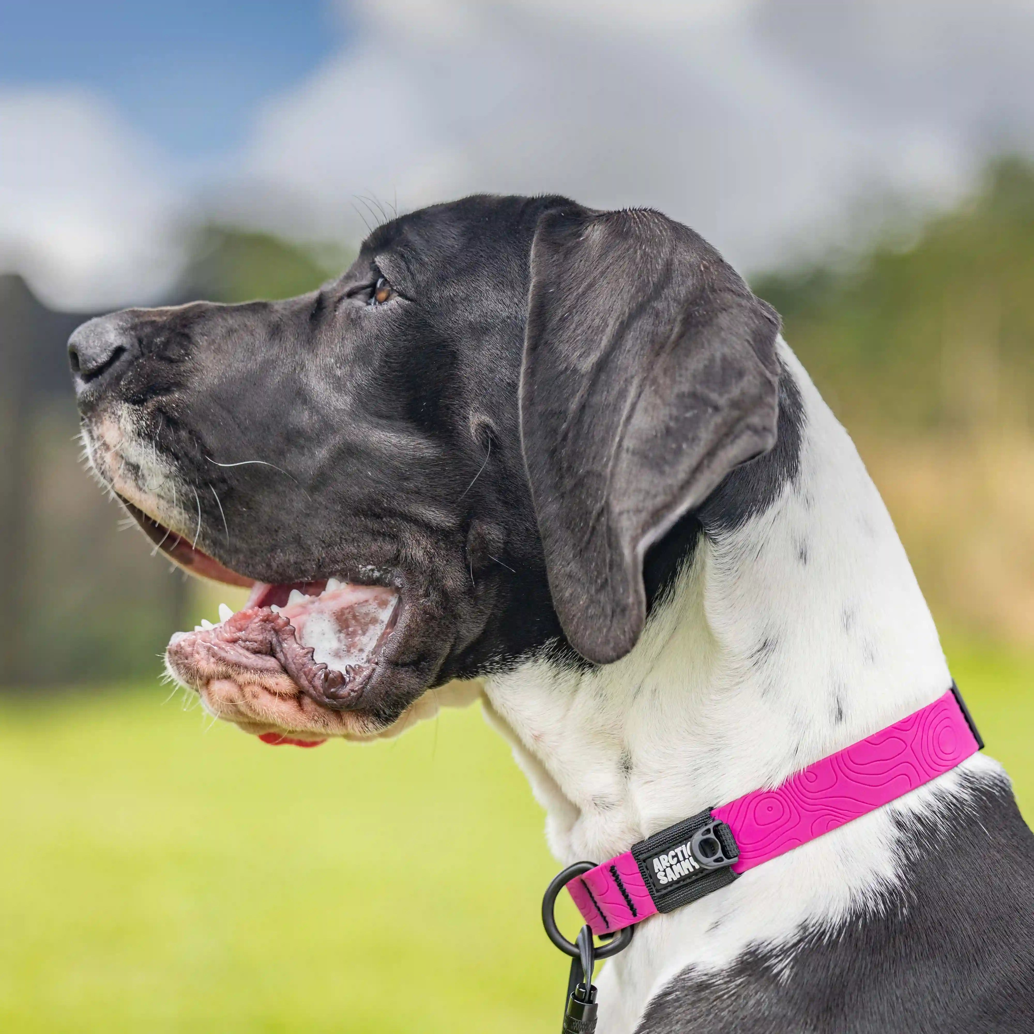 Pink Terraflow Waterproof Dog Collar