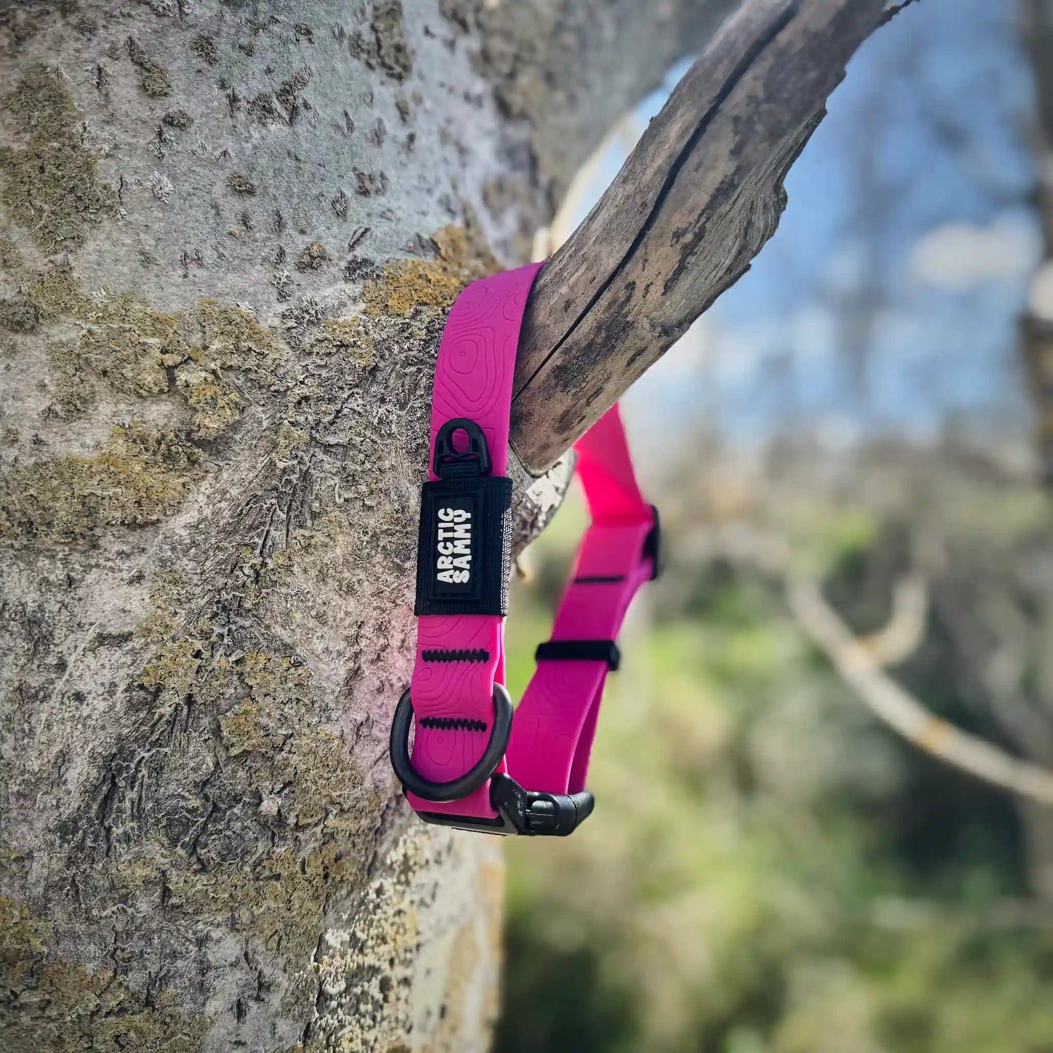 Pink Terraflow Waterproof Dog Collar