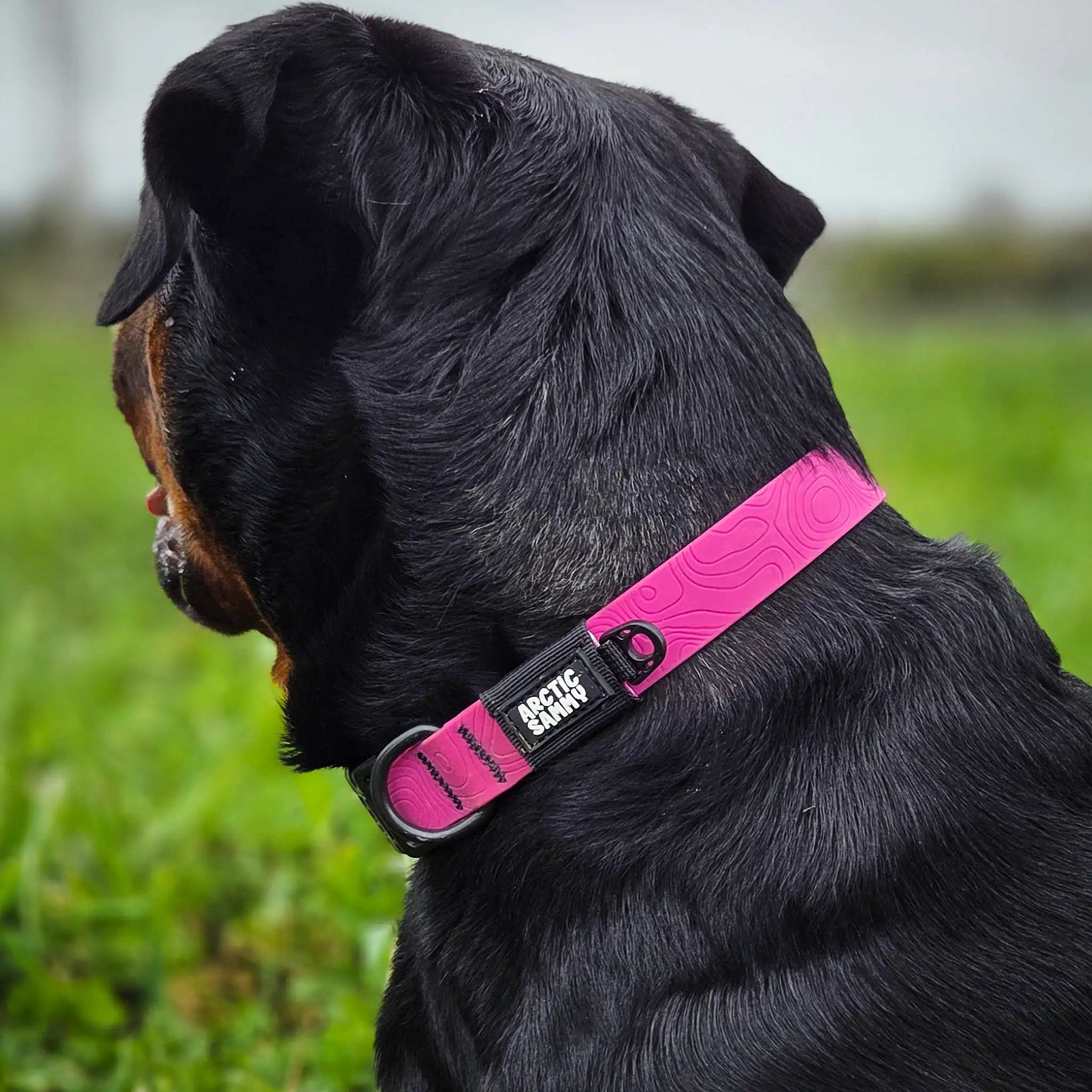 Pink Terraflow Waterproof Dog Collar