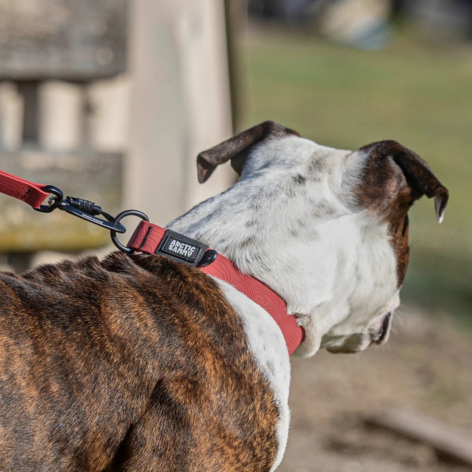 Ruby Red Terraflow Waterproof Dog Collar