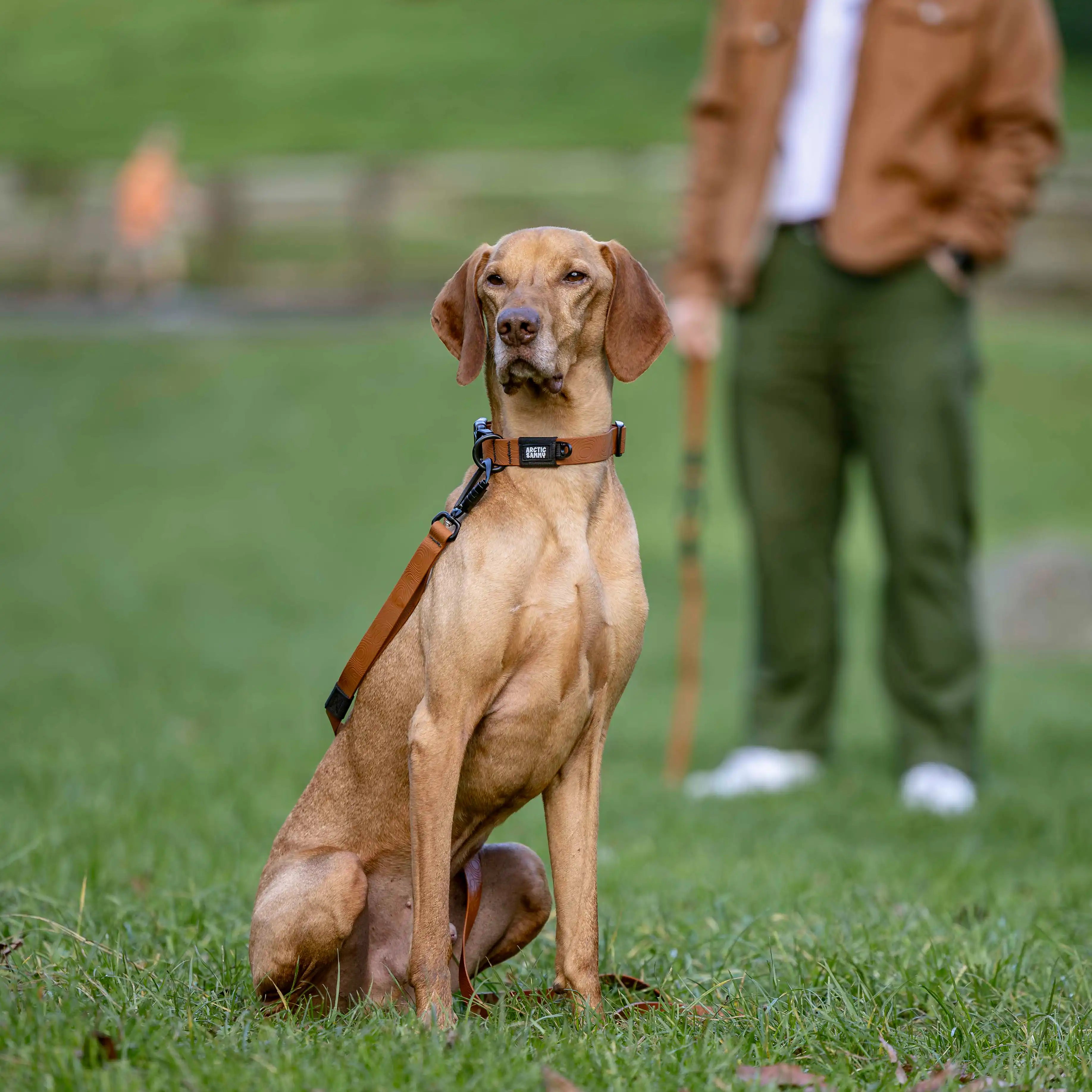 Toffee Brown Terraflow Waterproof Dog Collar