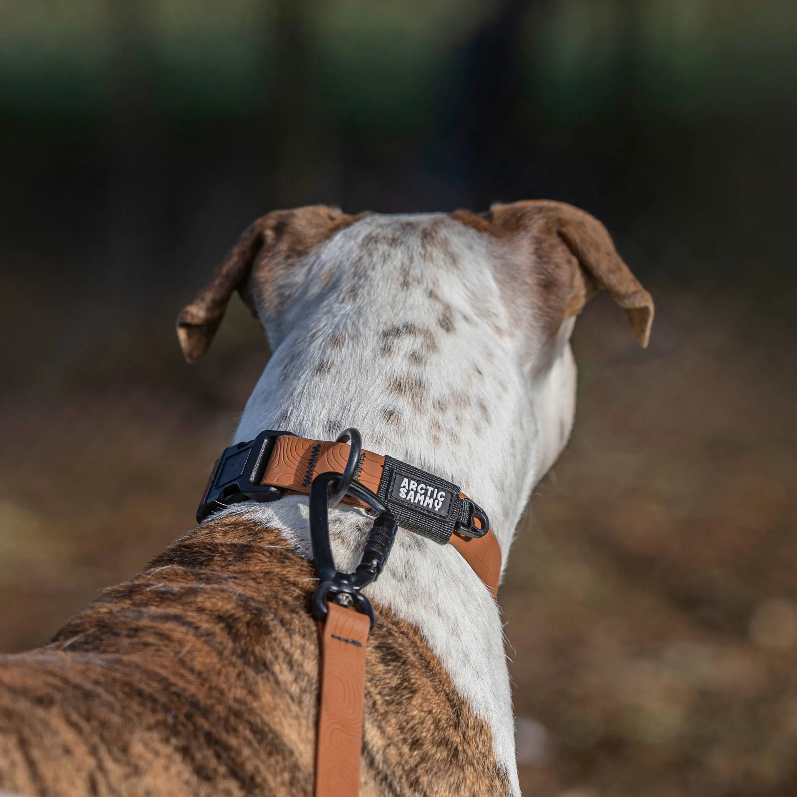 Toffee Brown Terraflow Waterproof Dog Collar