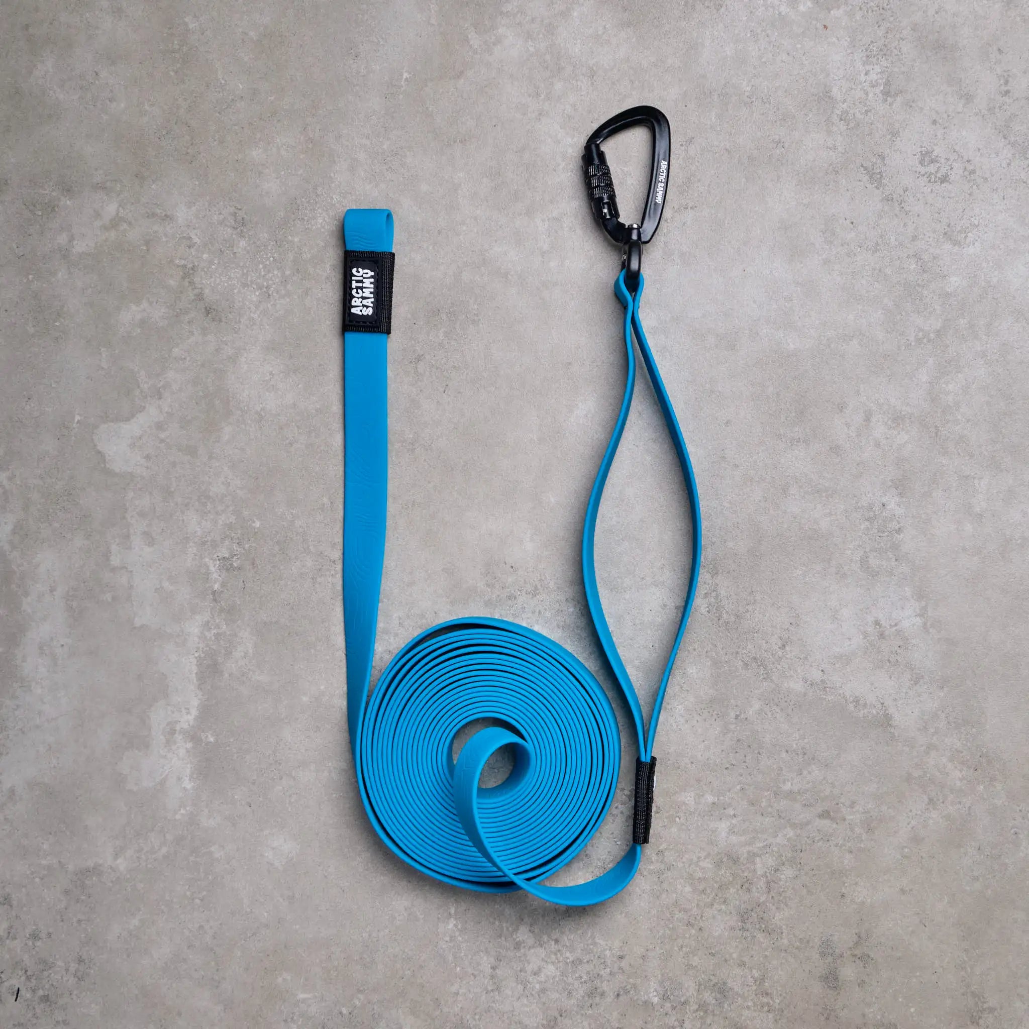 Teal Terraflow Long Line Dog Leash