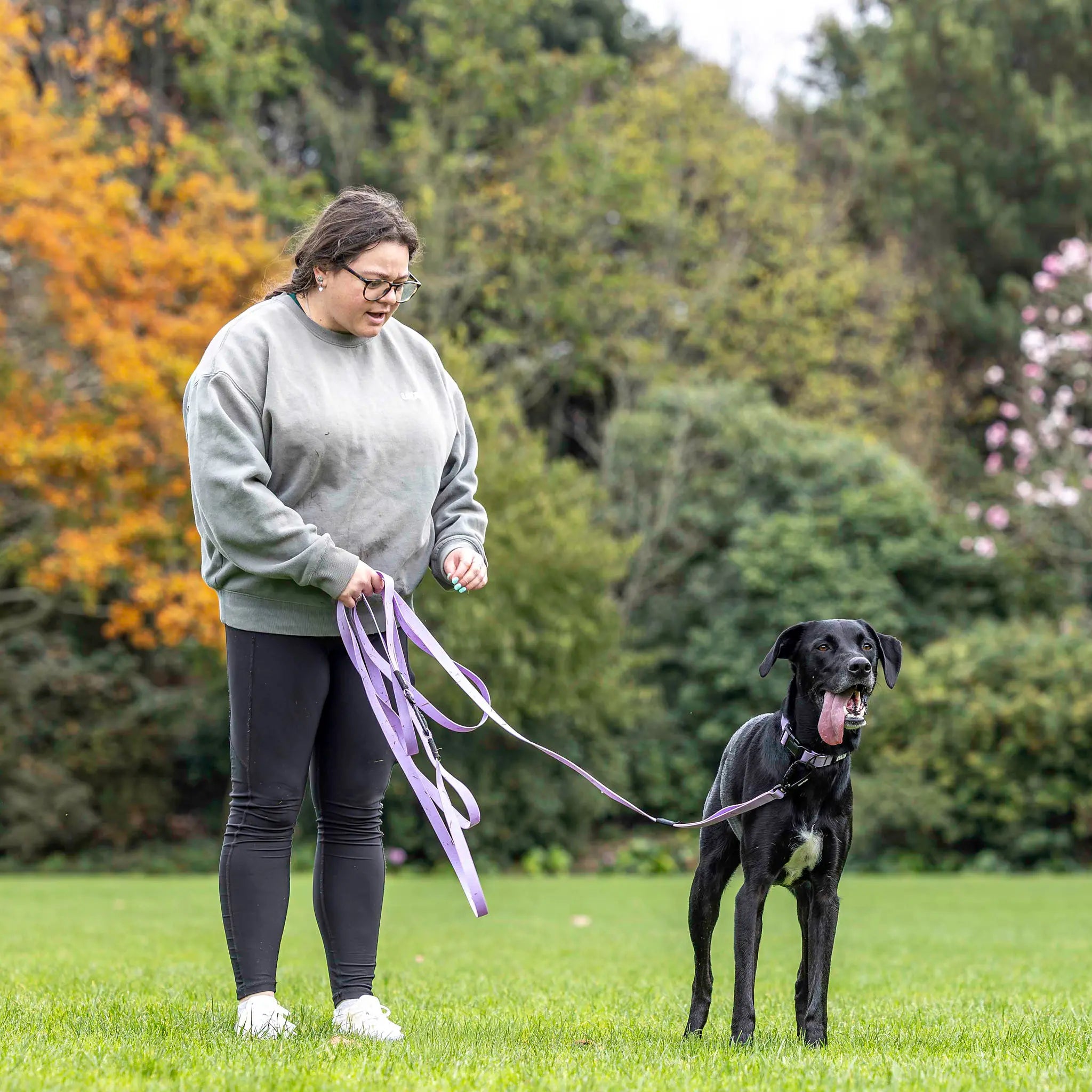 Lavender Terraflow Long Line Dog Leash