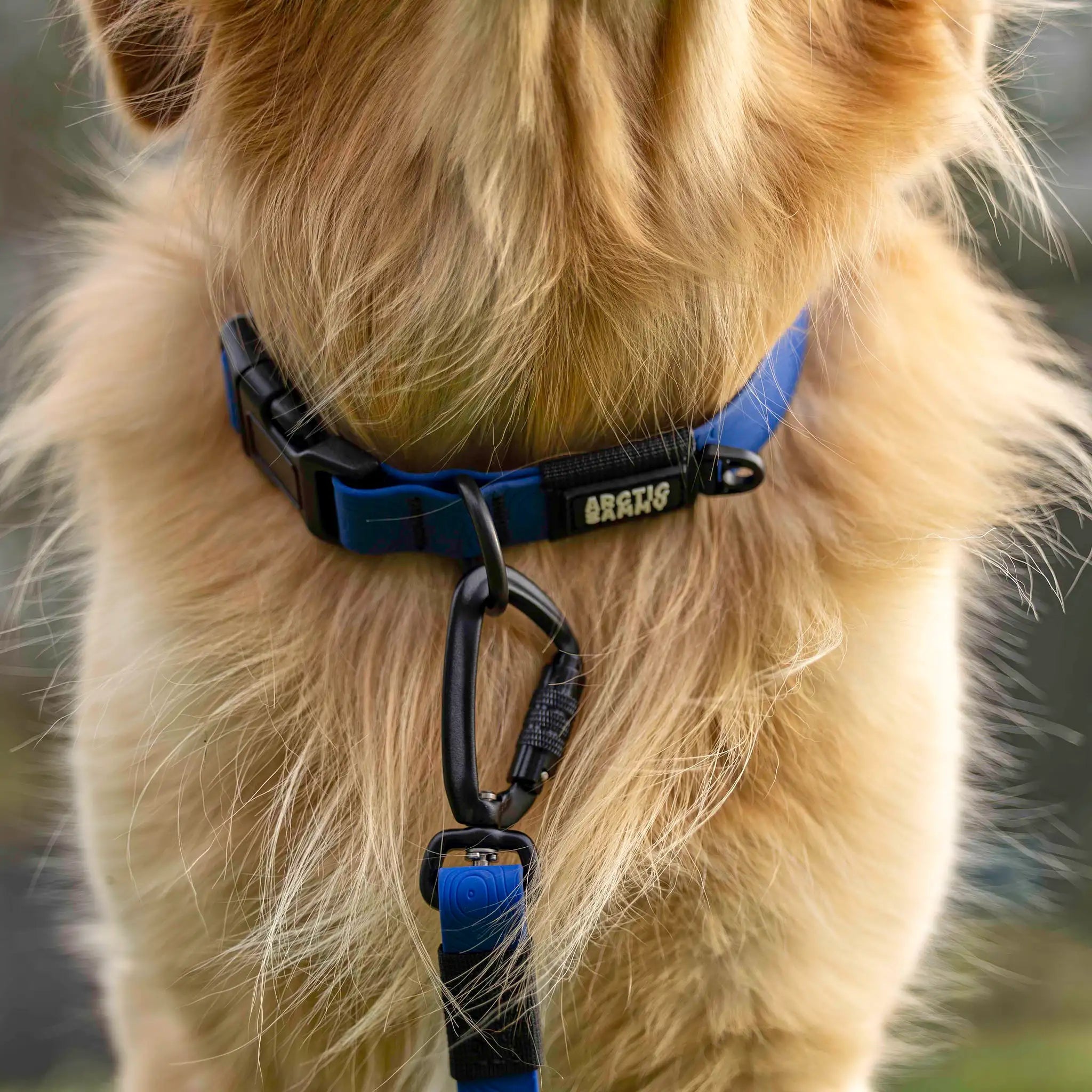 Navy Blue Terraflow Waterproof Dog Collar