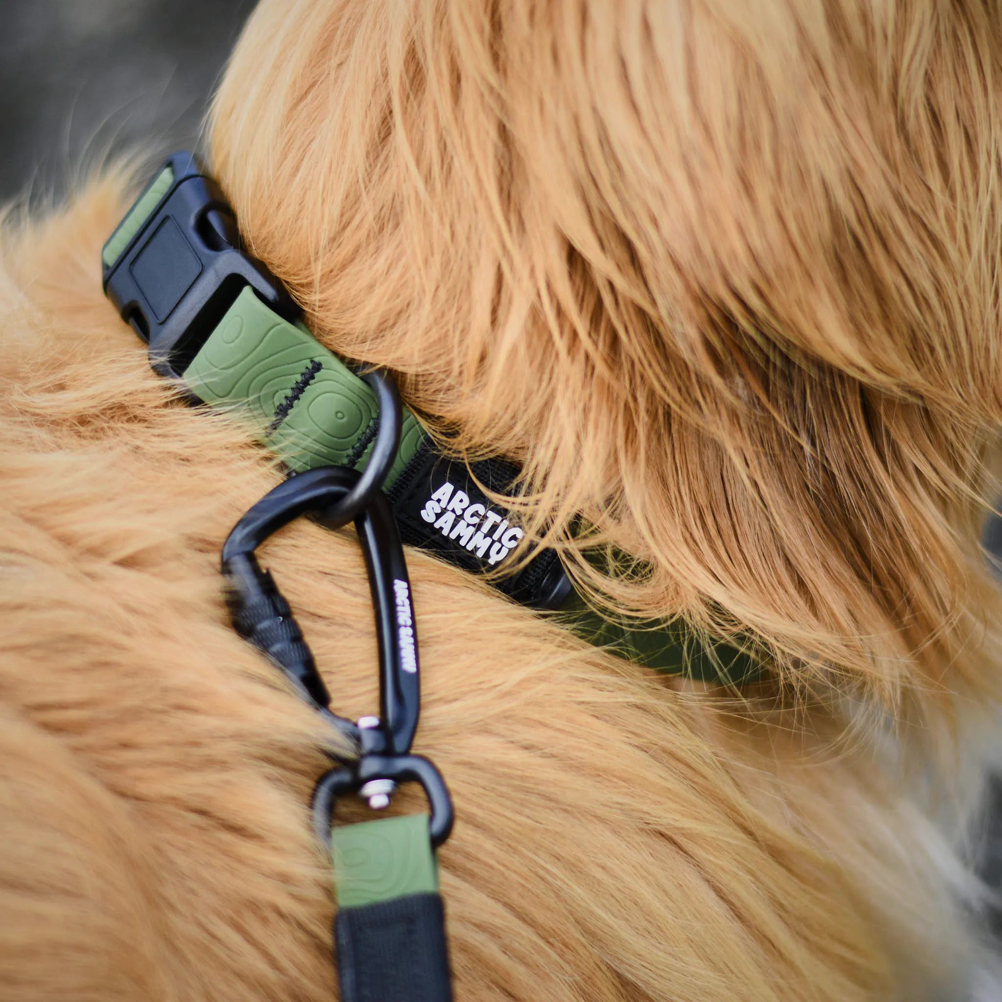 Olive Terraflow Traffic Handle Leash