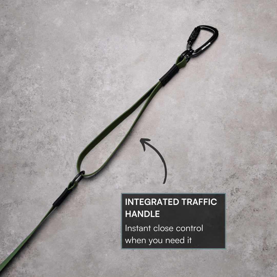 Olive Terraflow Traffic Handle Leash