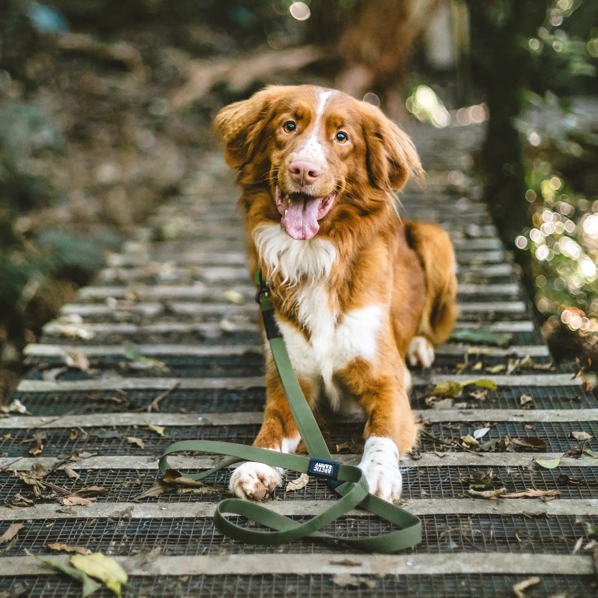 Olive Terraflow Traffic Handle Leash