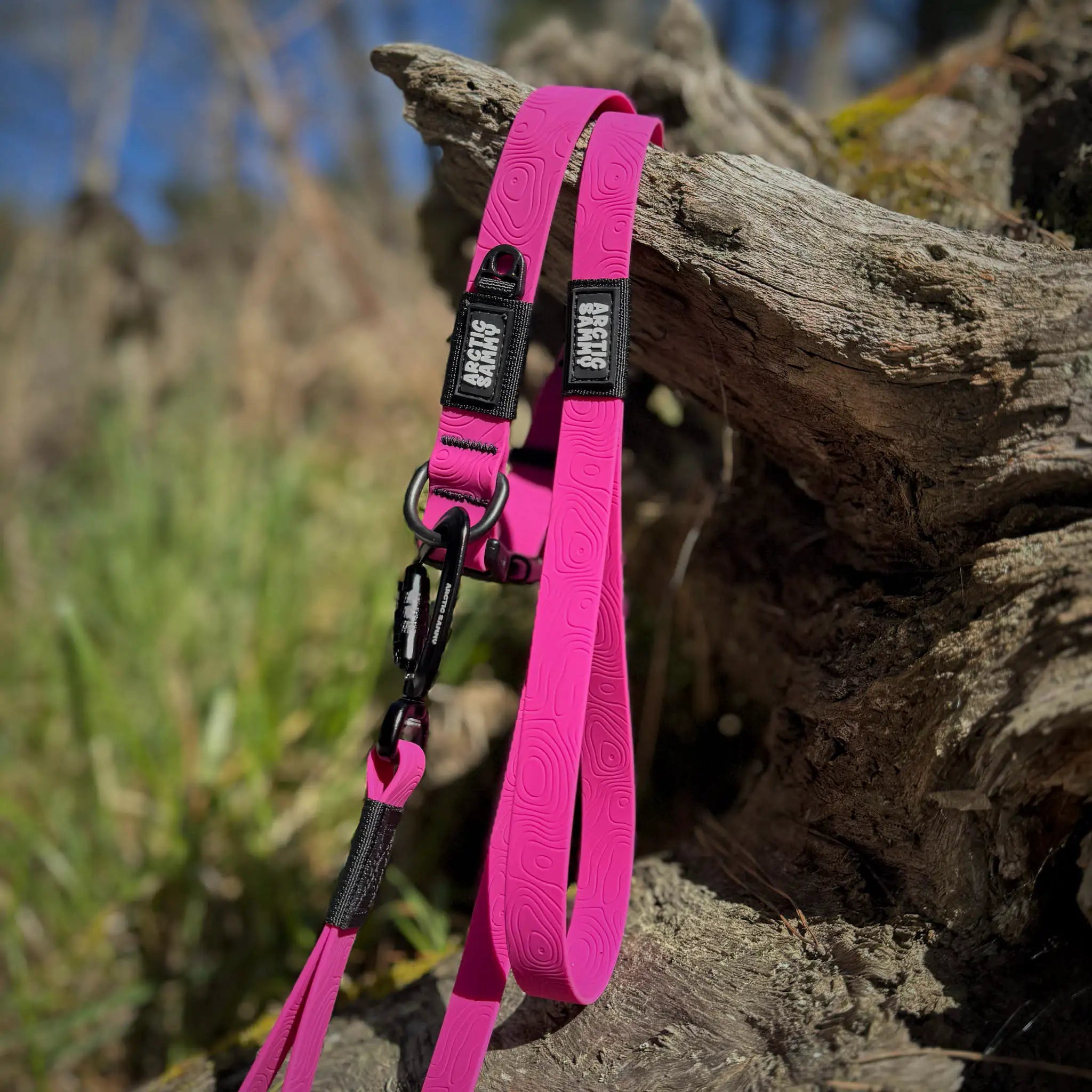 Pink Terraflow Traffic Handle Leash