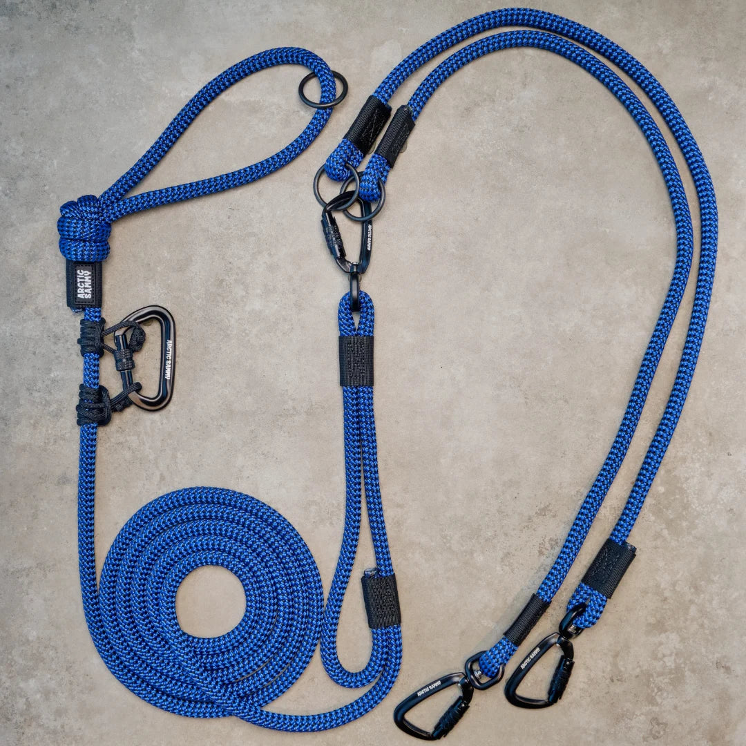 Benmore Handsfree Double Dog Leash