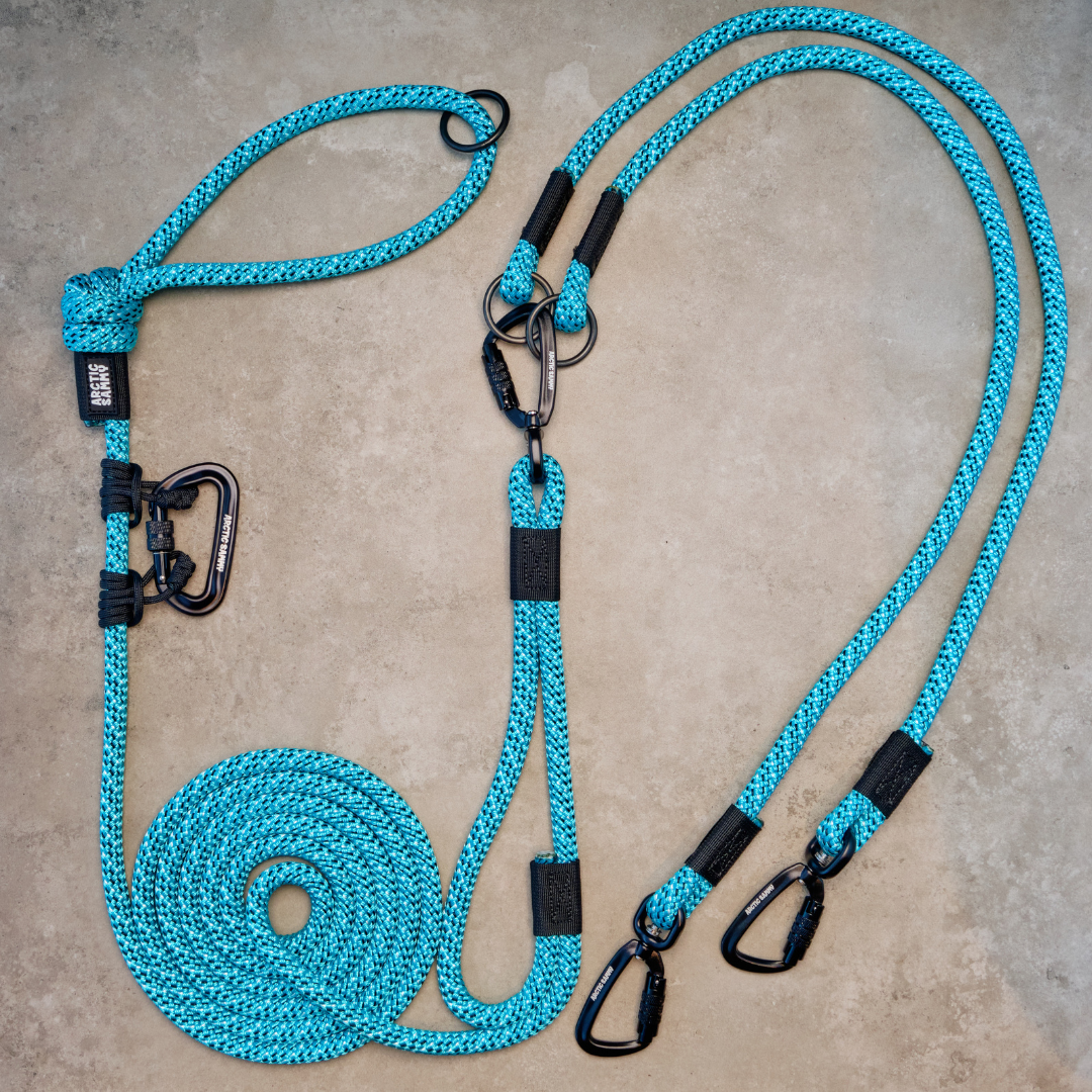 Pukaki Handsfree Double Dog Leash