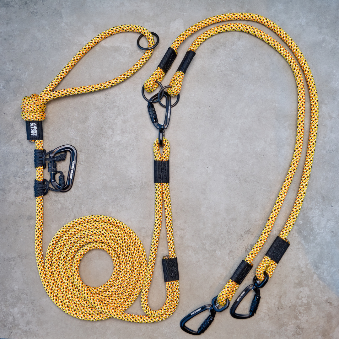 Raglan Handsfree Double Dog Leash