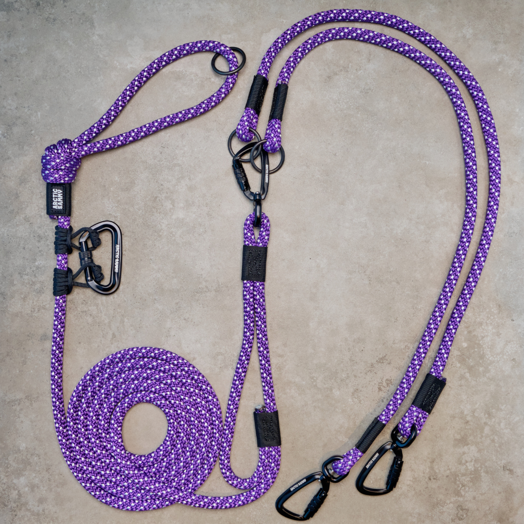 Waihi Handsfree Double Dog Leash