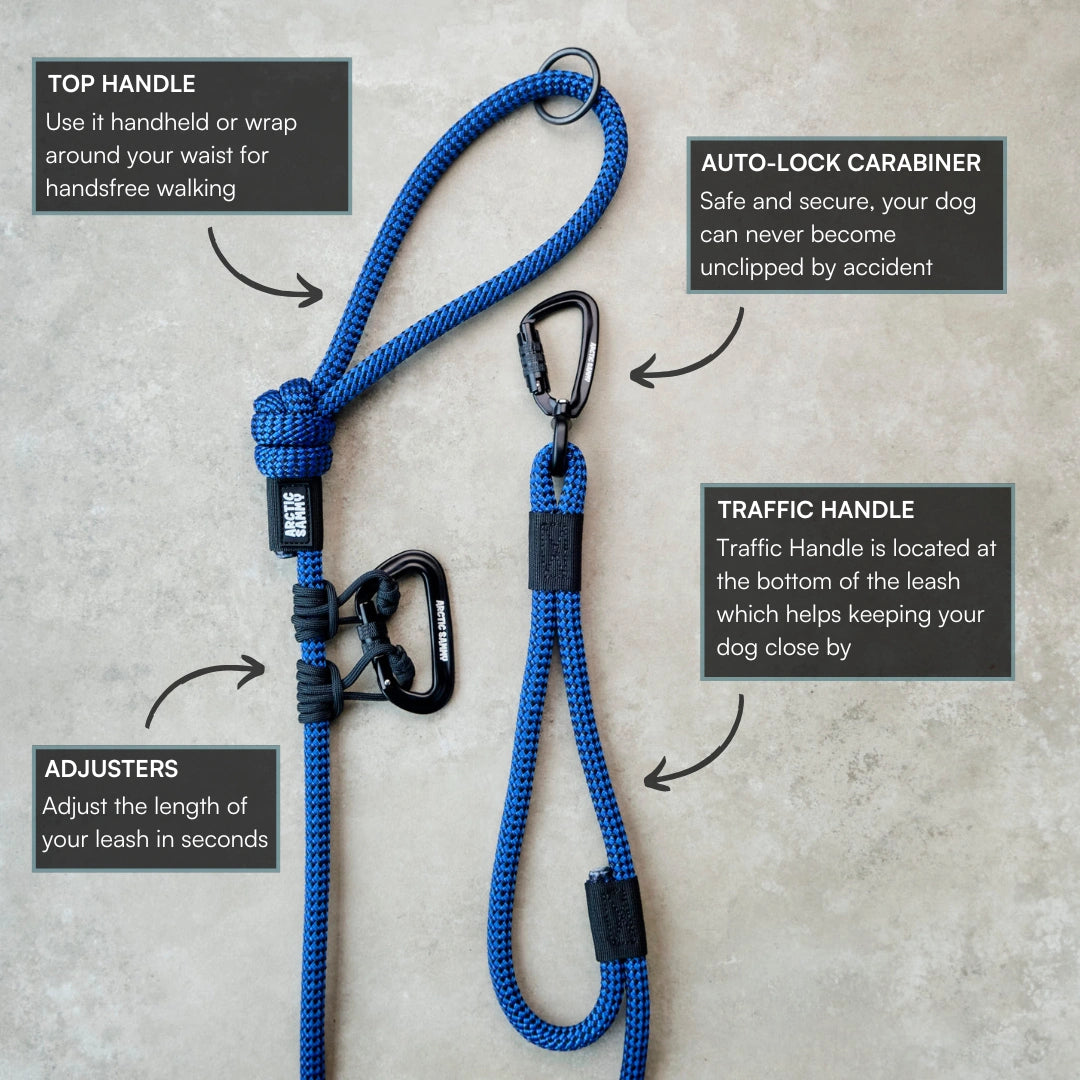 Benmore Handsfree Double Dog Leash