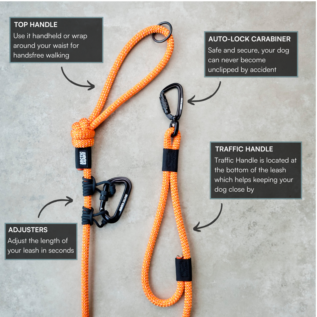 Hawea Handsfree Double Dog Leash