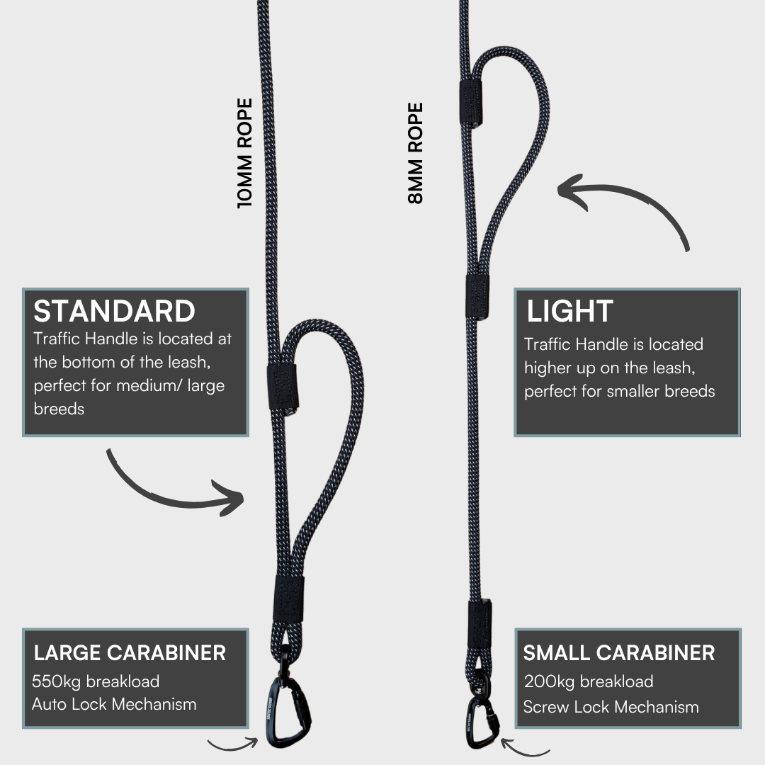 Mackenzie Handsfree Double Dog Leash