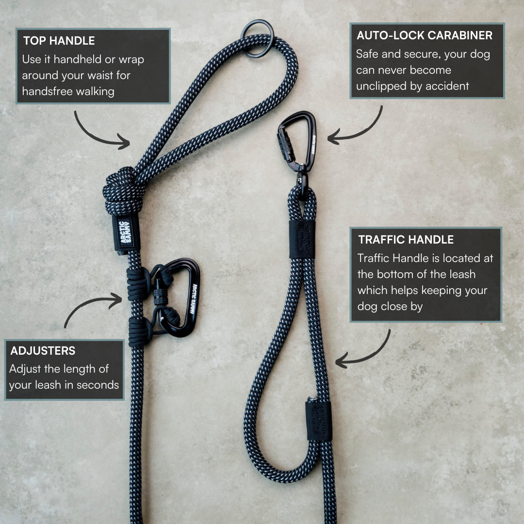 Mackenzie Handsfree Double Dog Leash