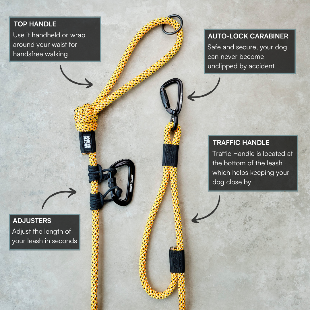 Raglan Handsfree Double Dog Leash