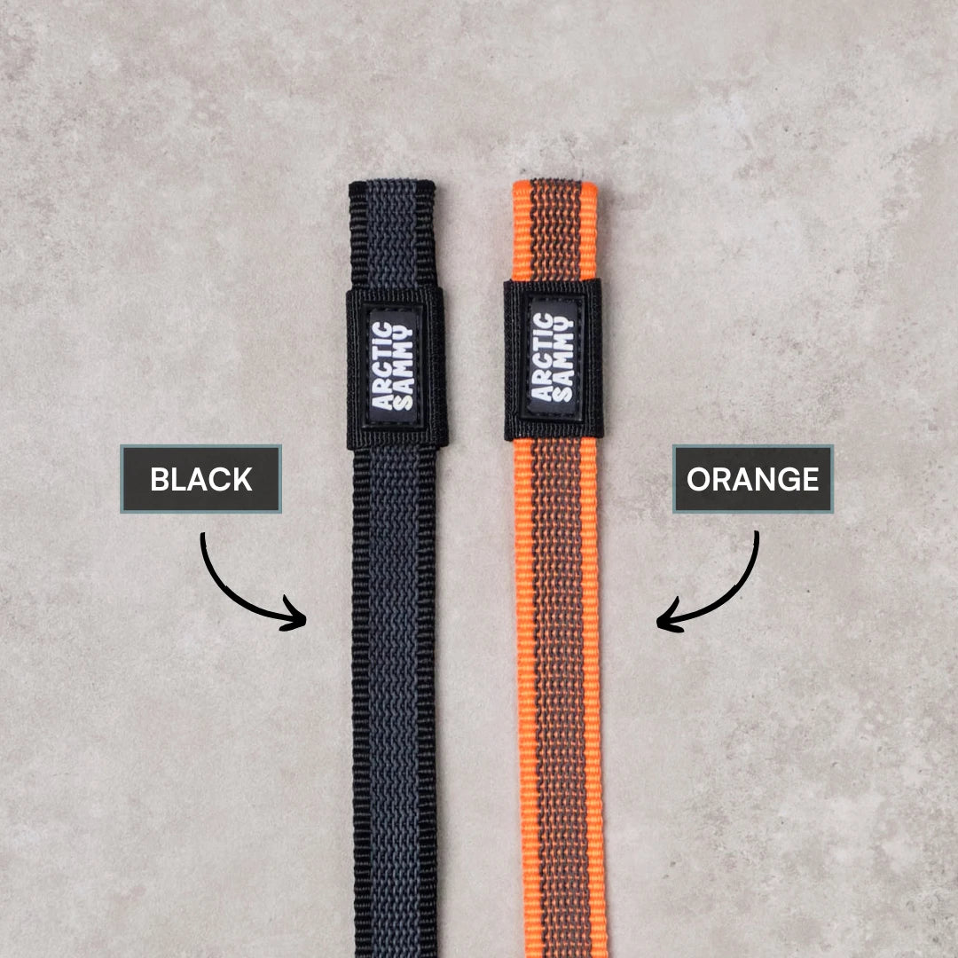 Black Train and Recall Long Line Dog Leash